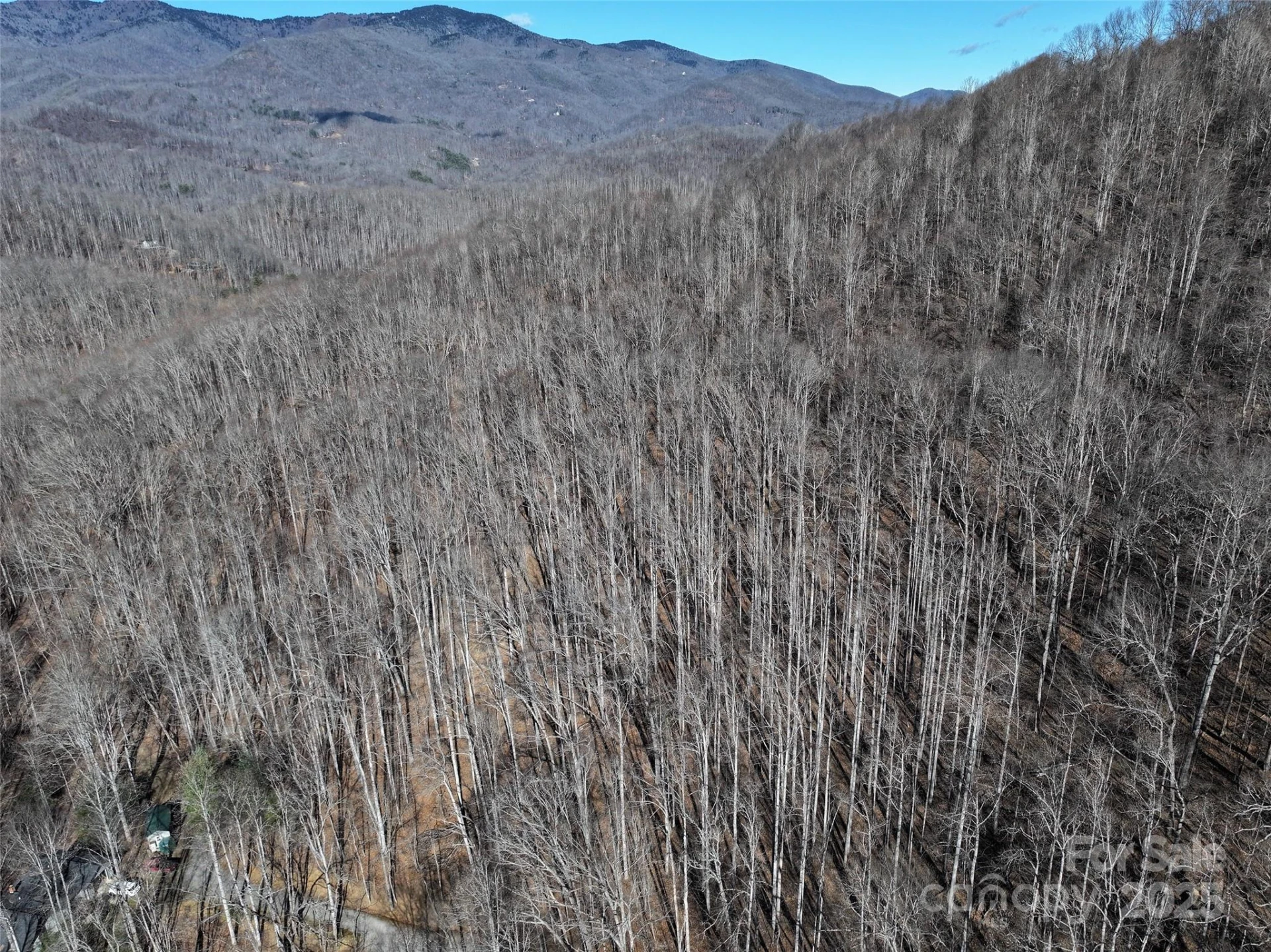 Lot 22 Top Drop Lane - Photo 6