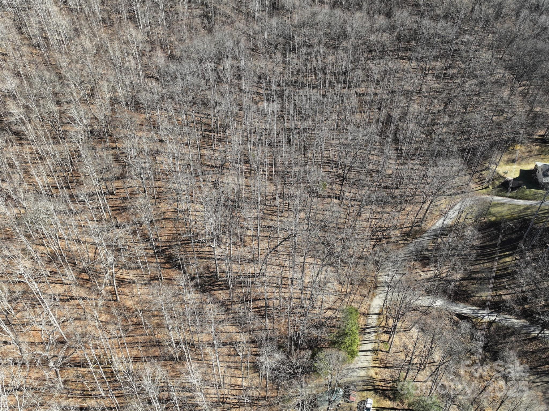 Lot 22 Top Drop Lane - Photo 7
