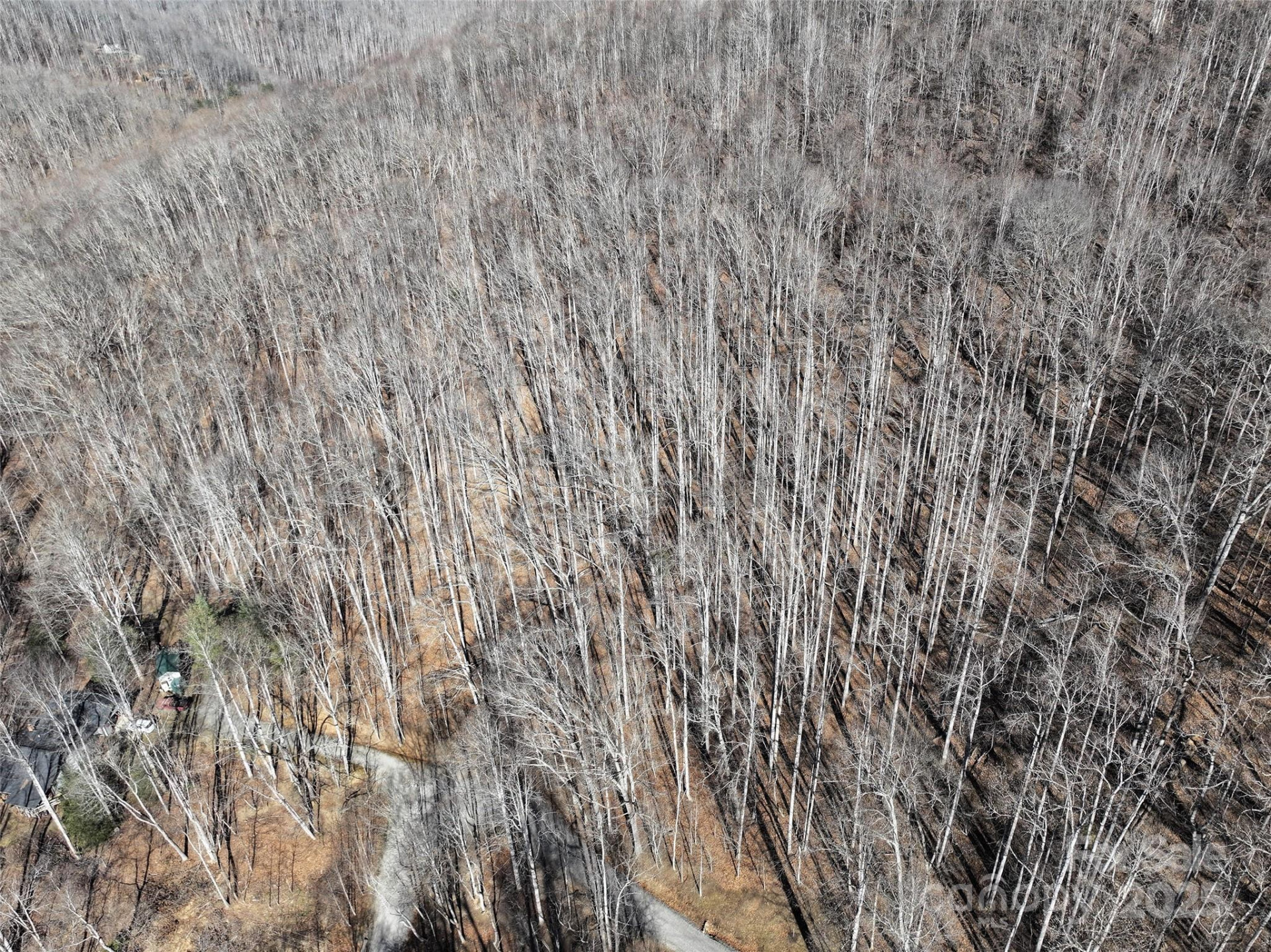 Lot 22 Top Drop Lane - Photo 8