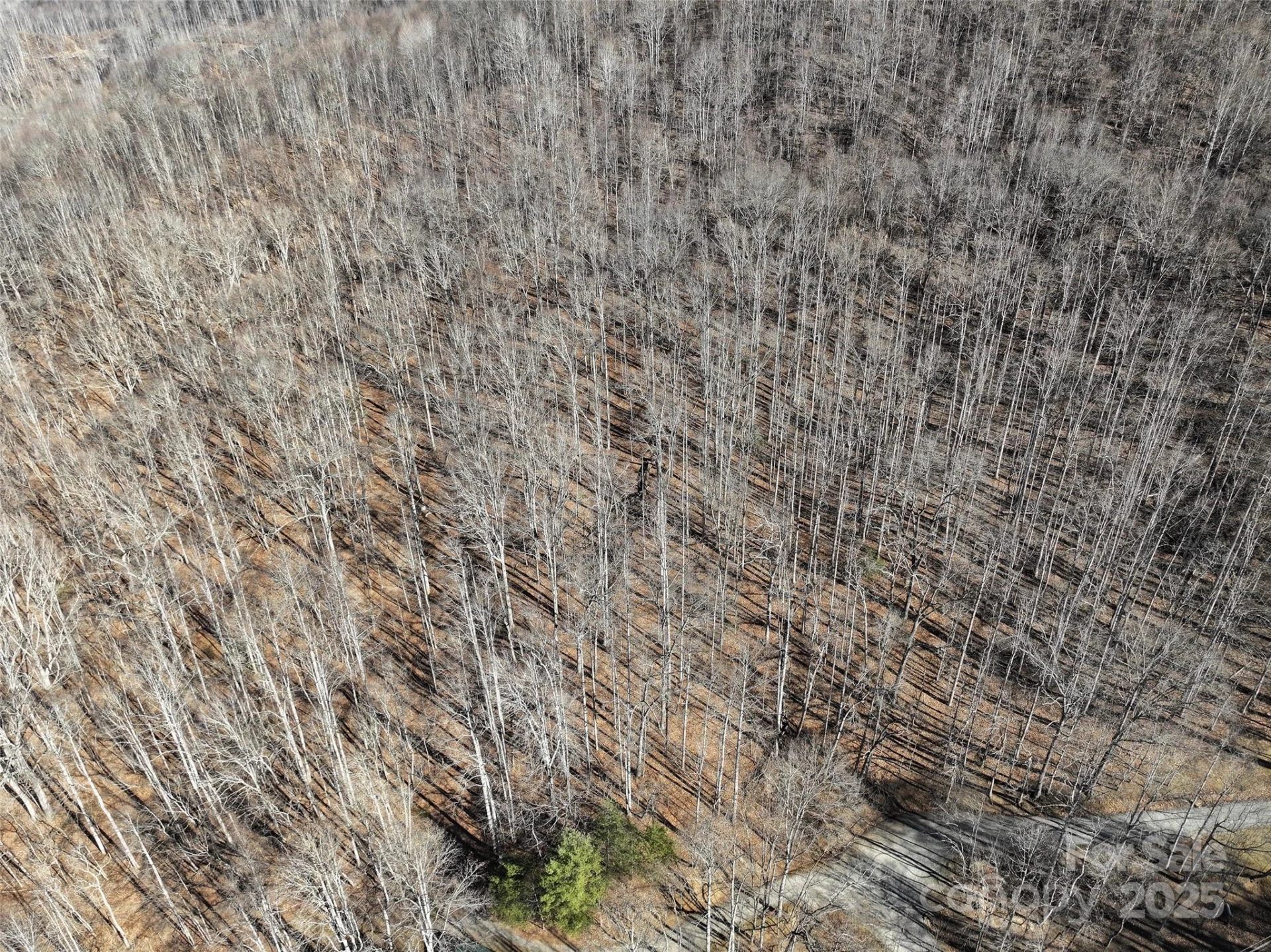Lot 22 Top Drop Lane - Photo 9