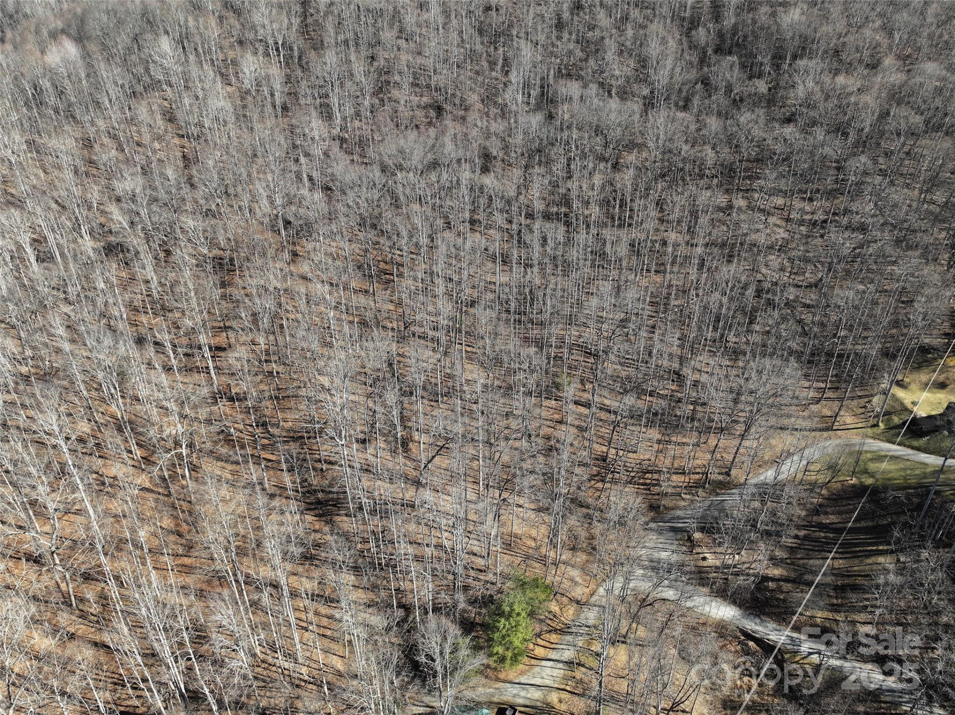 Lot 22 Top Drop Lane - Photo 10