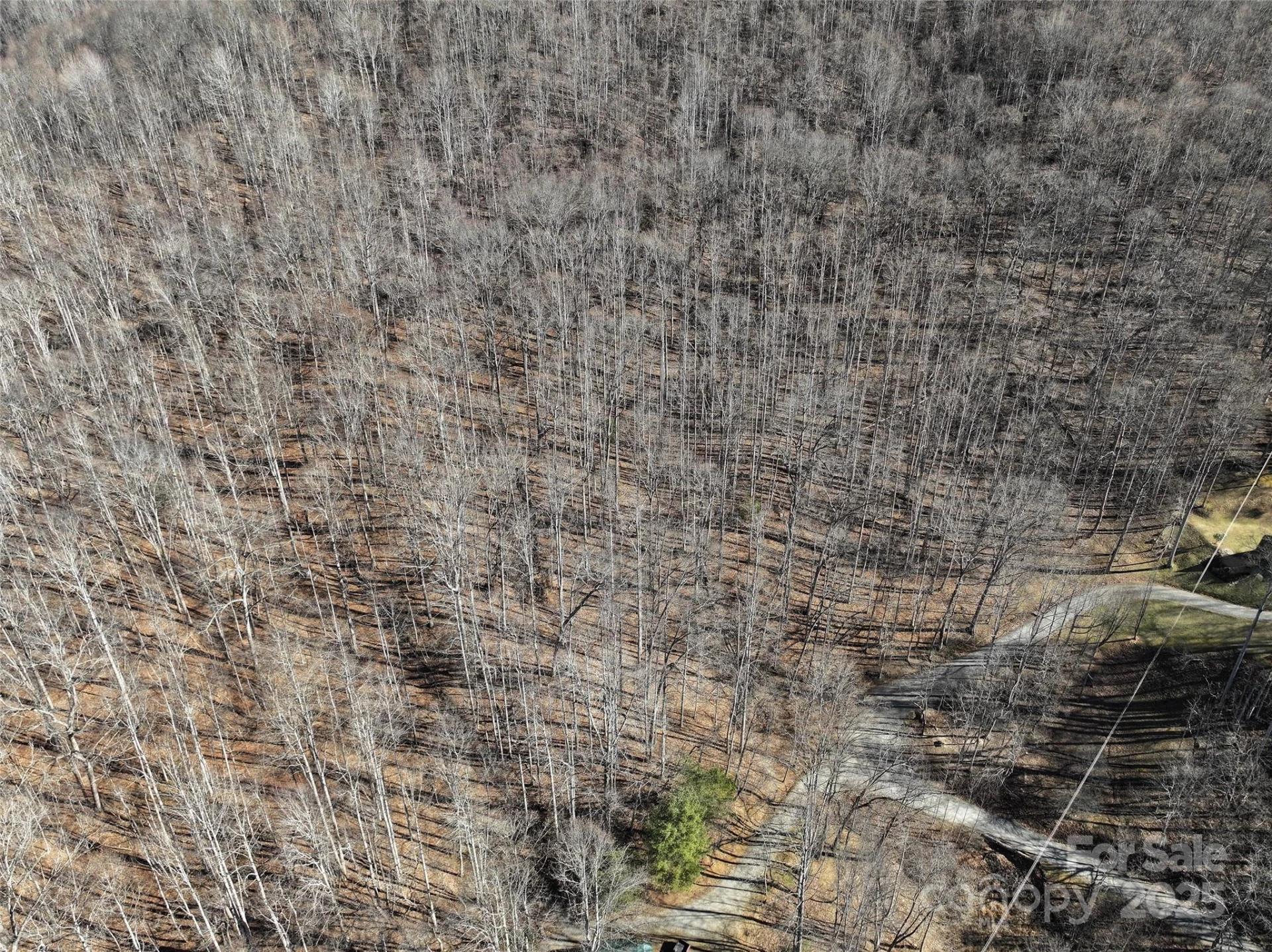 Lot 22 Top Drop Lane - Photo 10