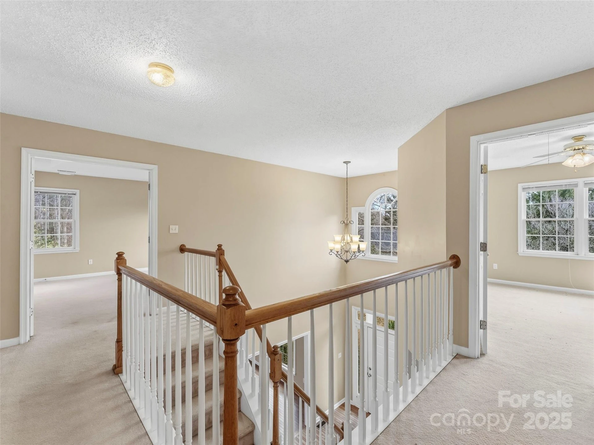 613 Carolina Holly Way - Photo 17