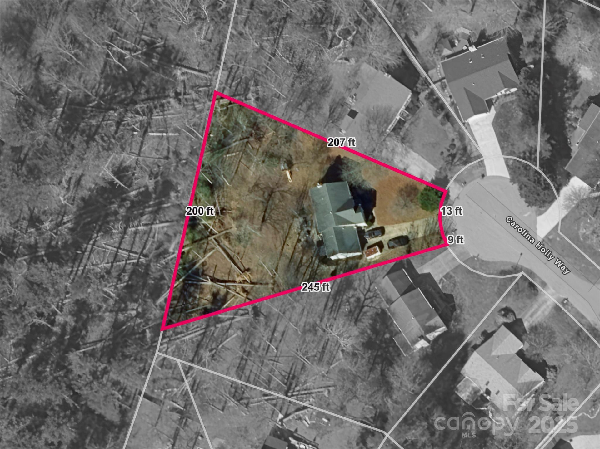 613 Carolina Holly Way - Photo 36