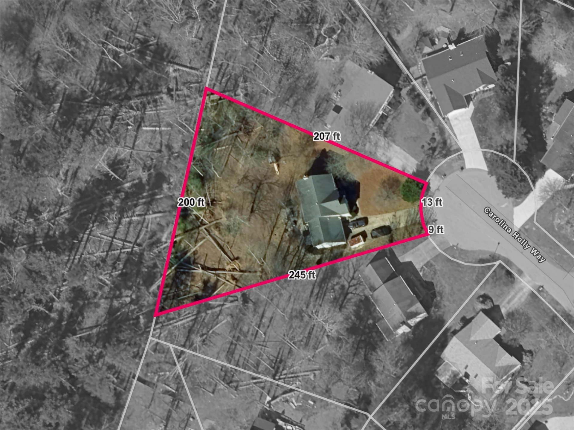 613 Carolina Holly Way - Photo 36