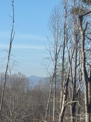 905 Hutch Mountain Road