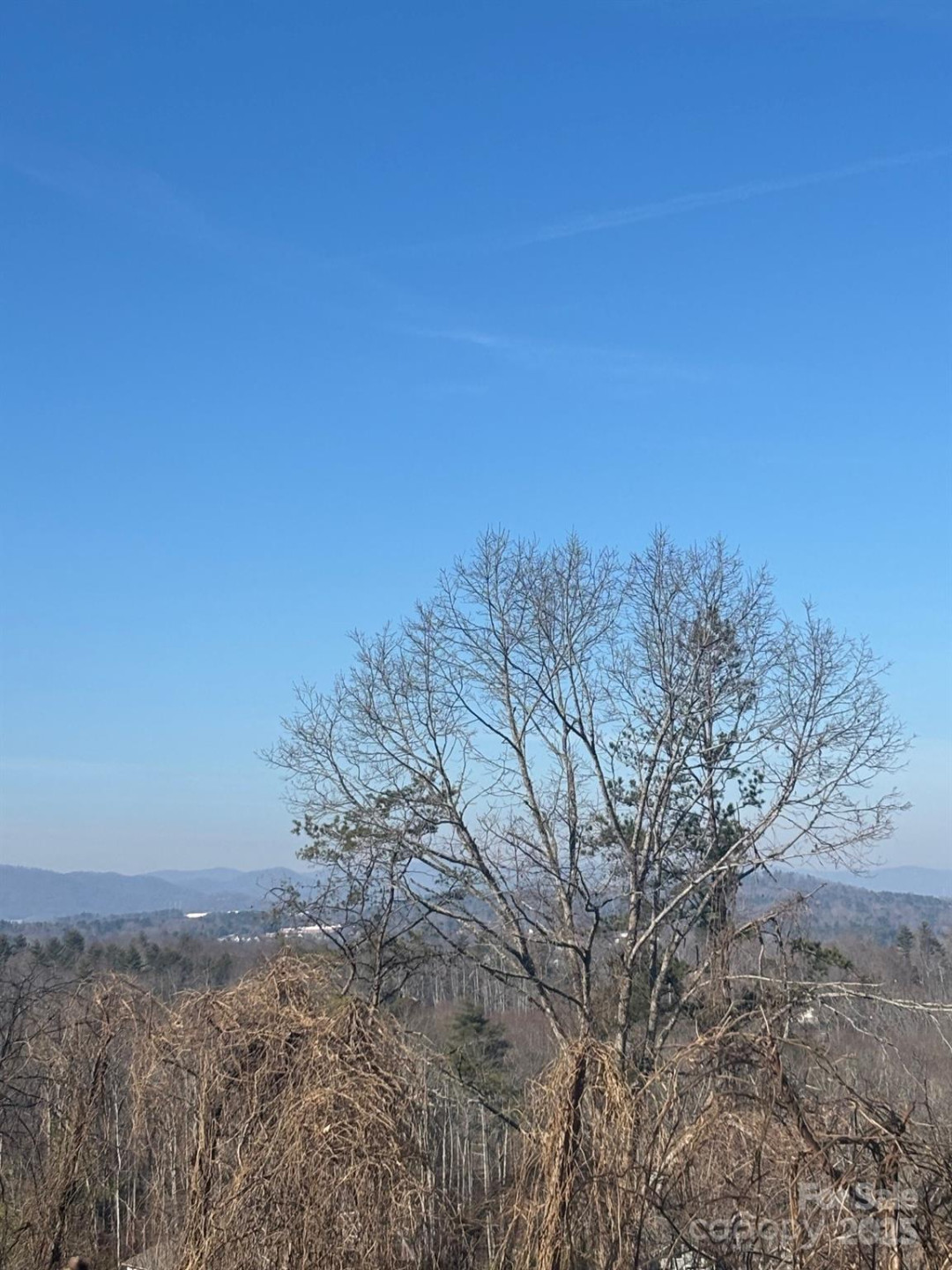 905 Hutch Mountain Road - Photo 9