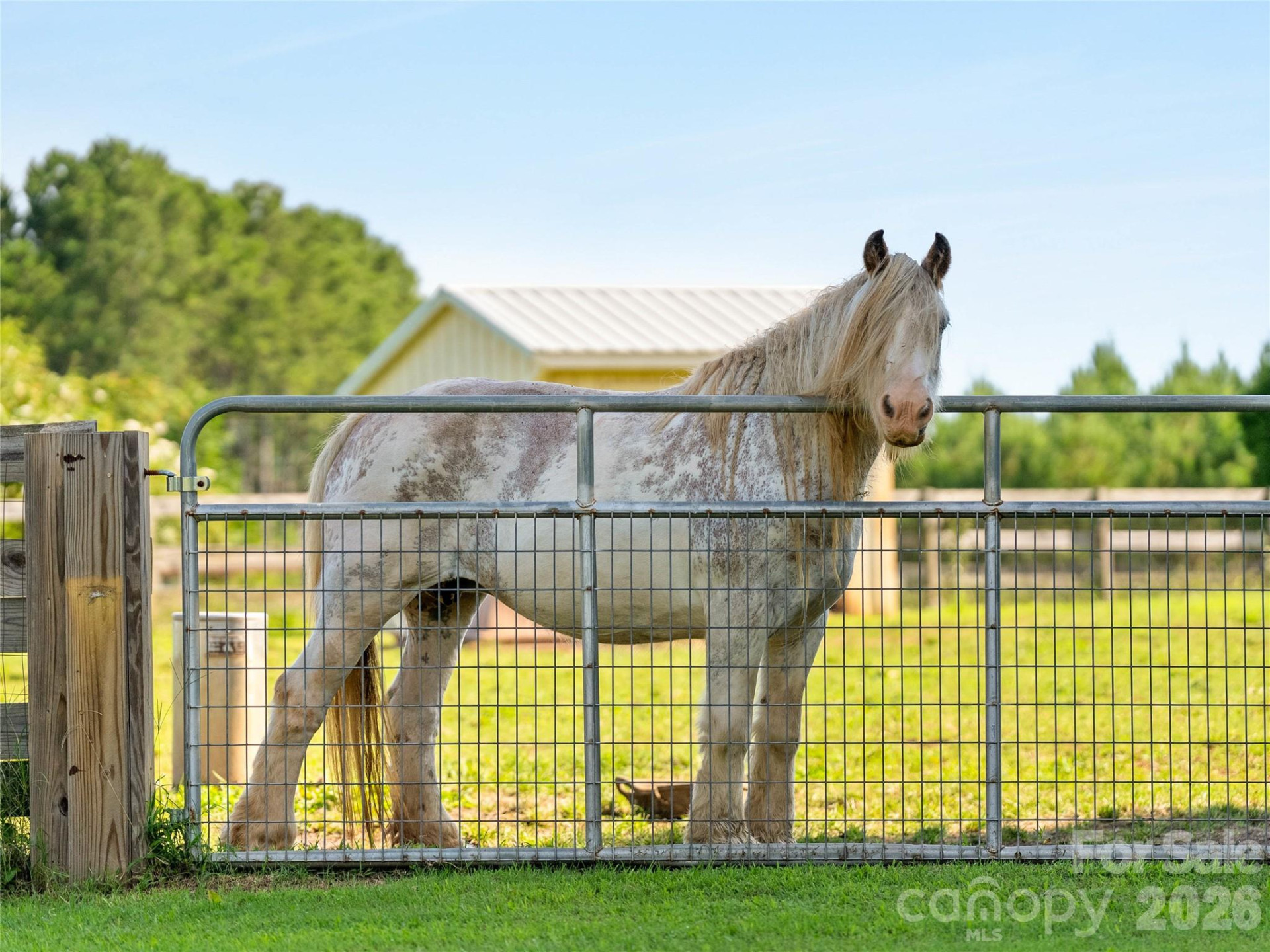 150 Rabbit Moffitt Road - Photo 39