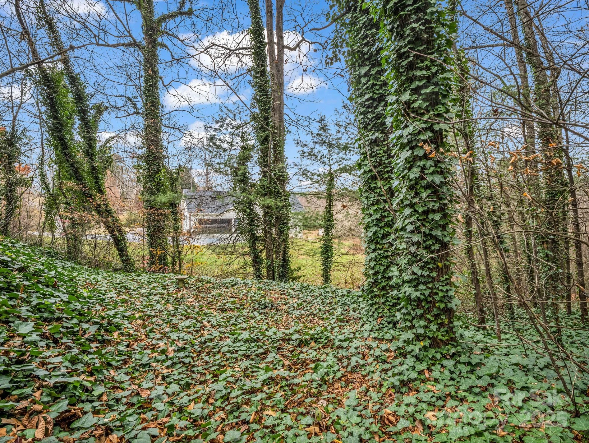 112 Serenity Circle - Photo 36