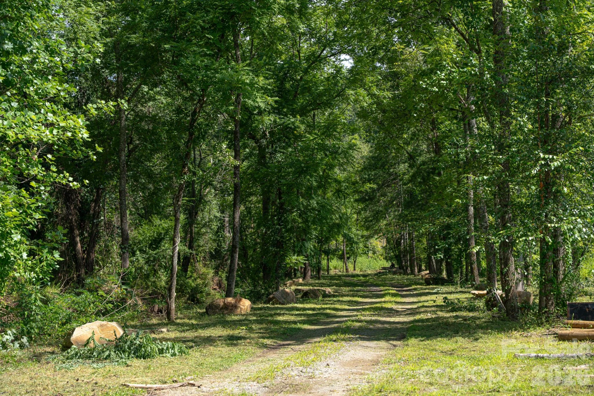 413 Big Hill Drive #85 - Photo 17