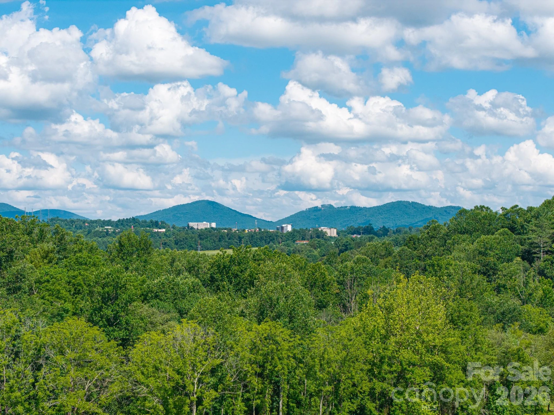 413 Big Hill Drive #85 - Photo 18