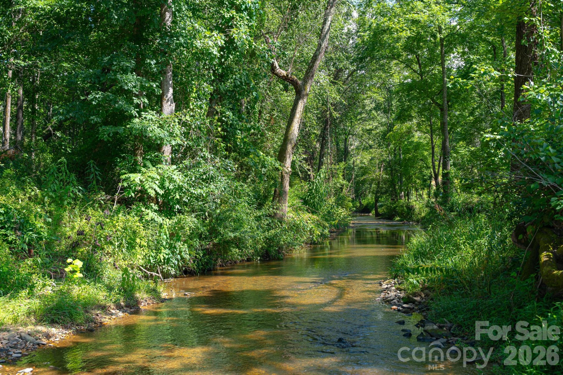 413 Big Hill Drive #85 - Photo 19