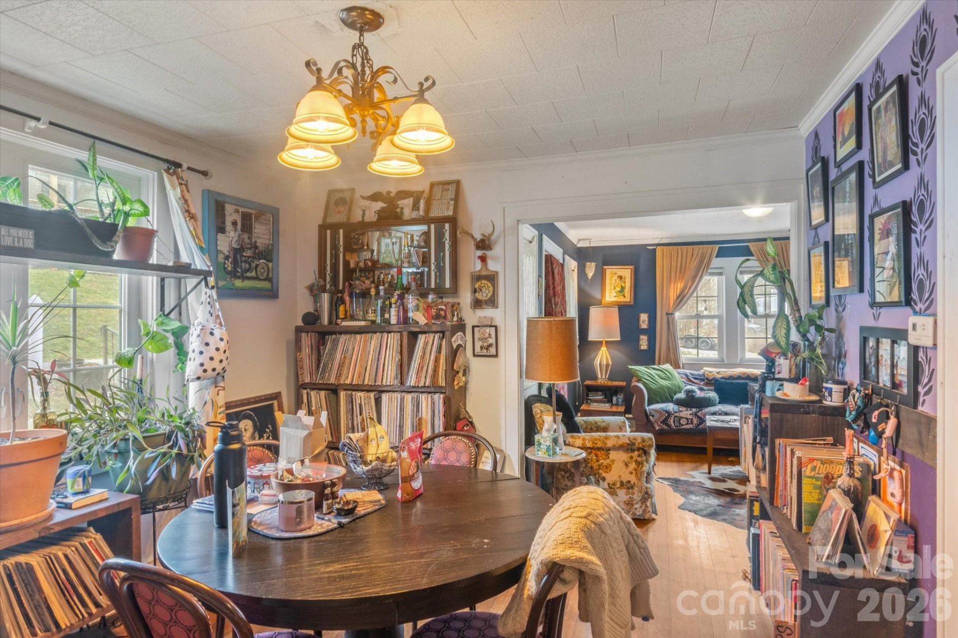 16 Sycamore Street - Photo 13