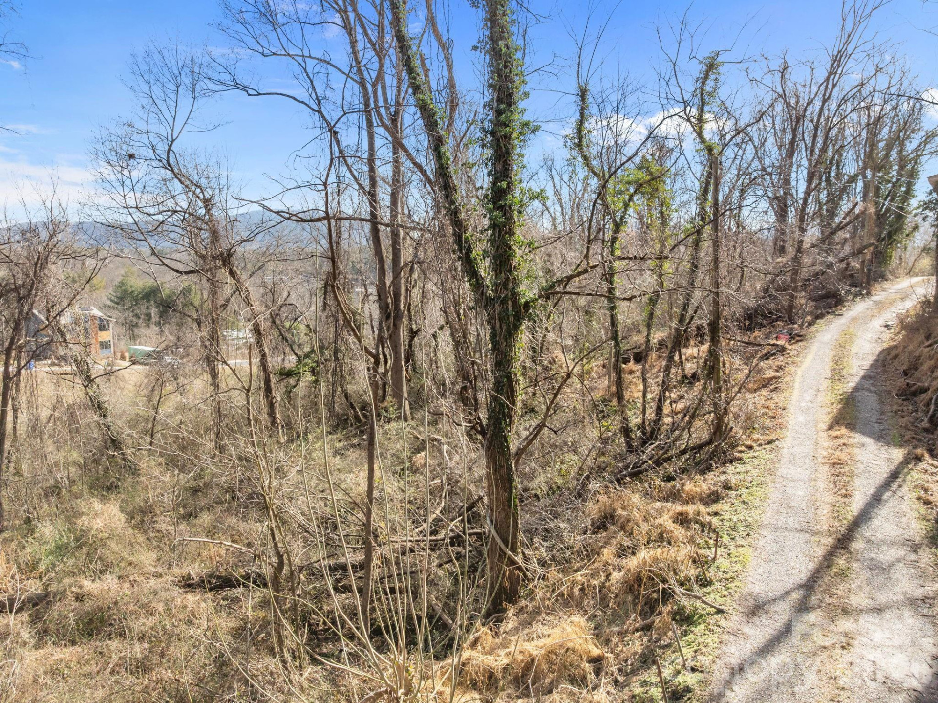 99999 Weaver Hill Road - Photo 6