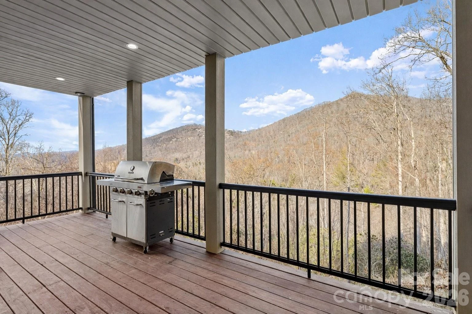 22 Chesten Mountain Drive - Photo 42