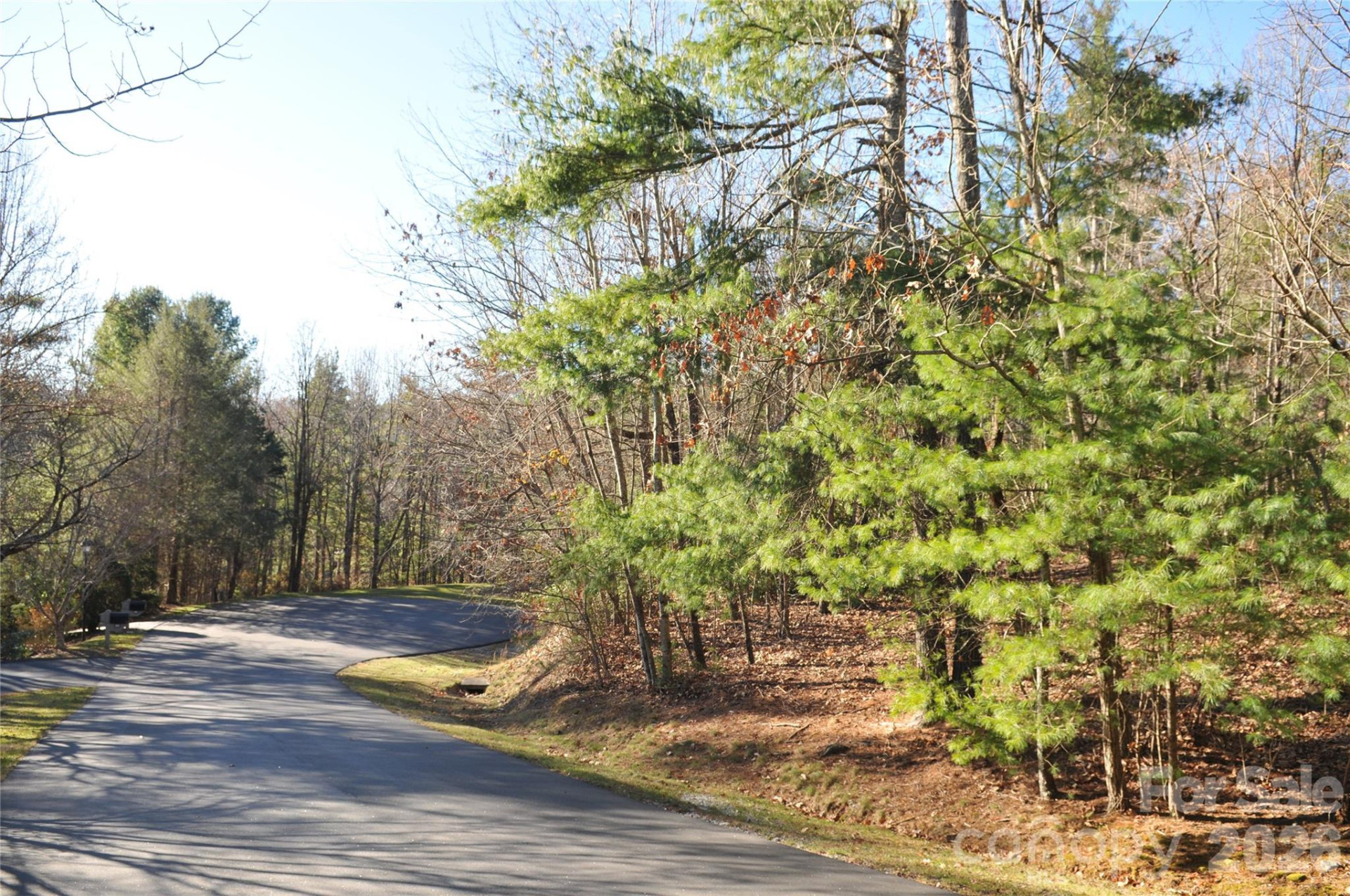 000 Didrikson Way #244 - Photo 2