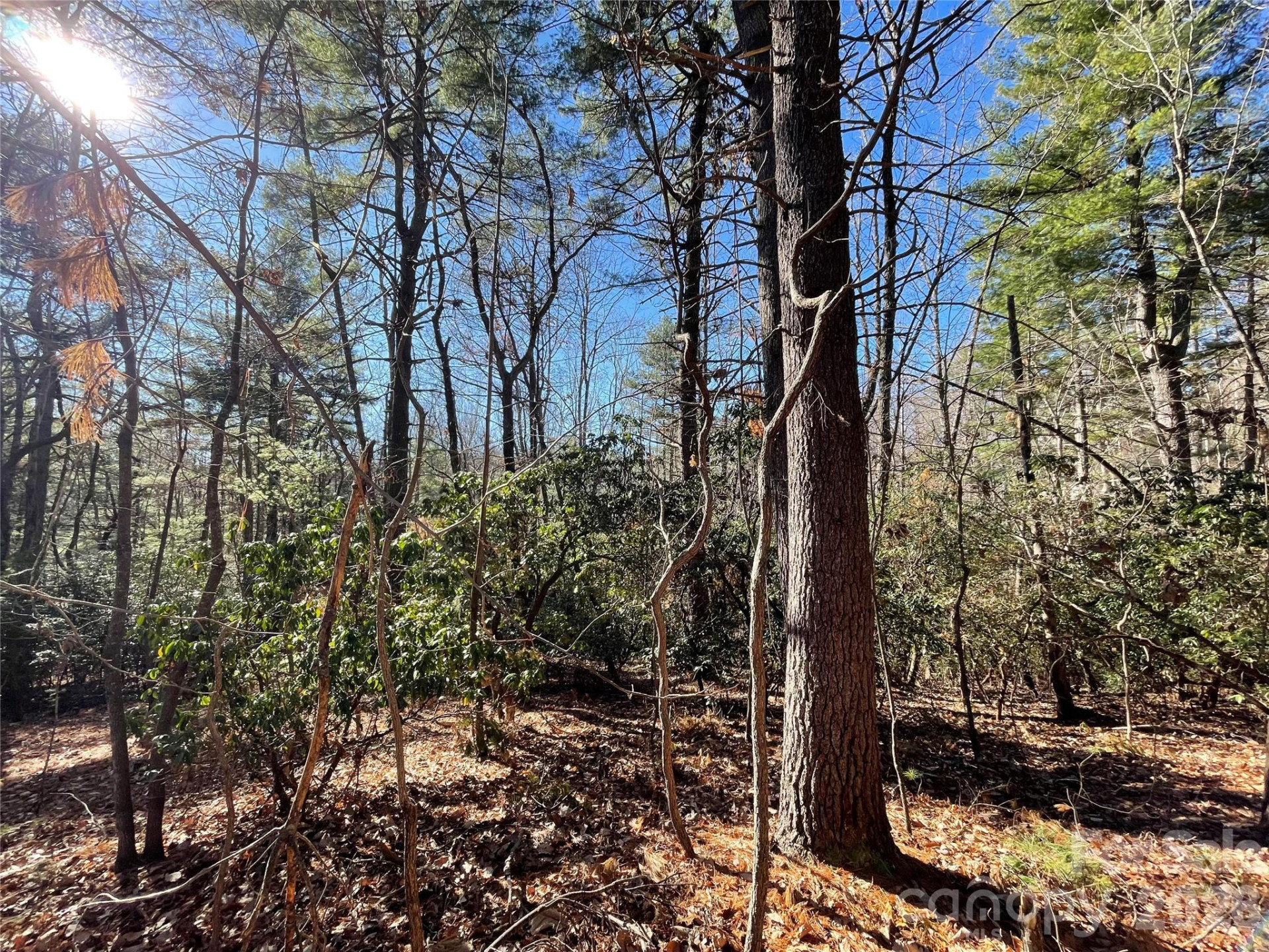 000 Didrikson Way #244 - Photo 11