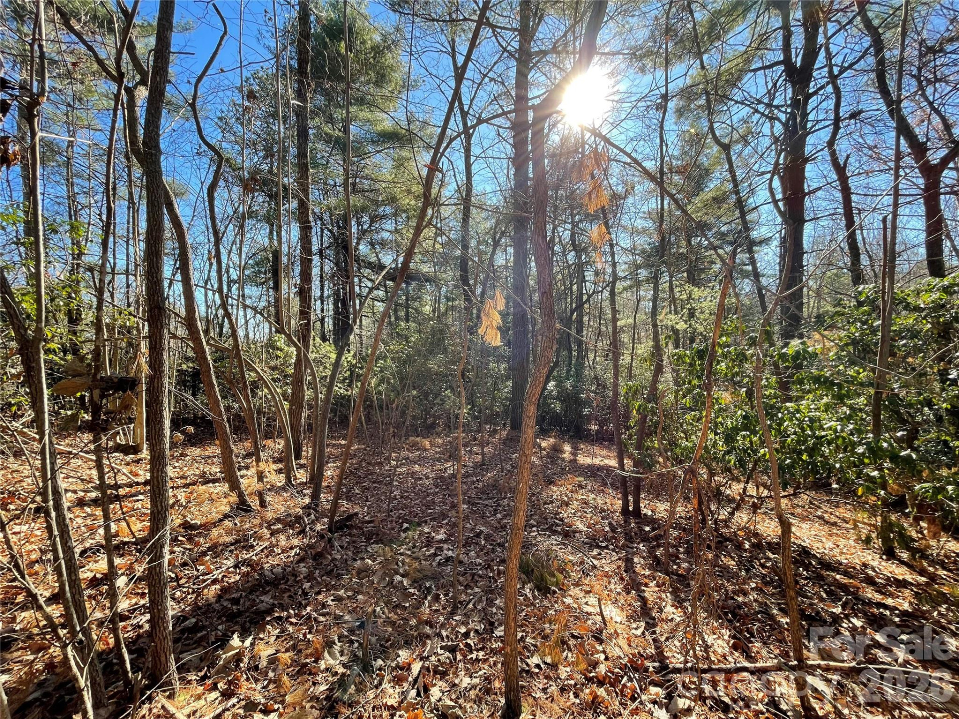 000 Didrikson Way #244 - Photo 12