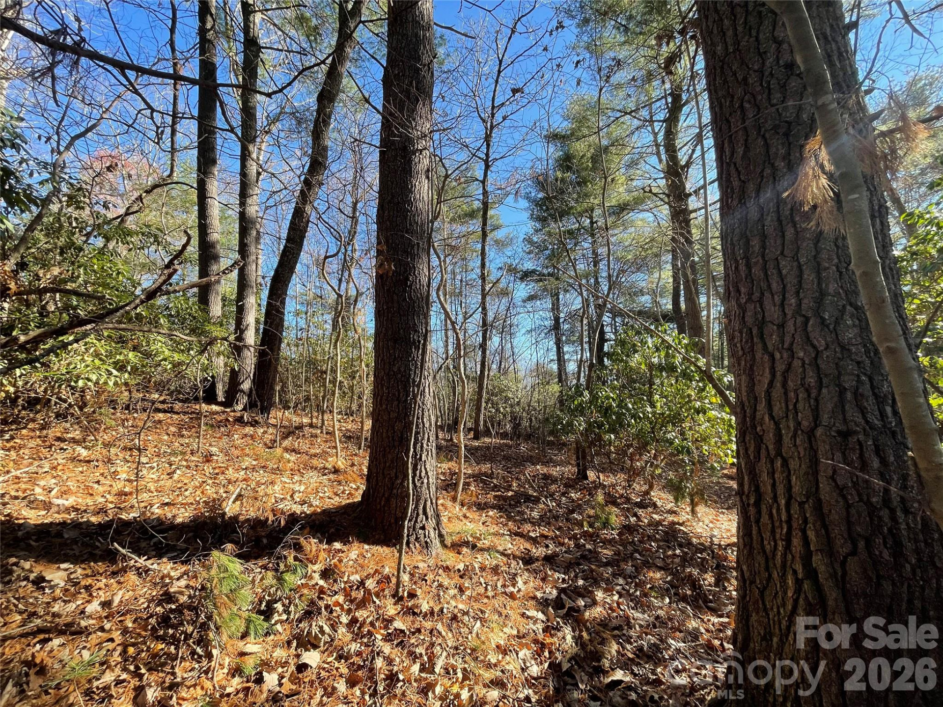 000 Didrikson Way #244 - Photo 13