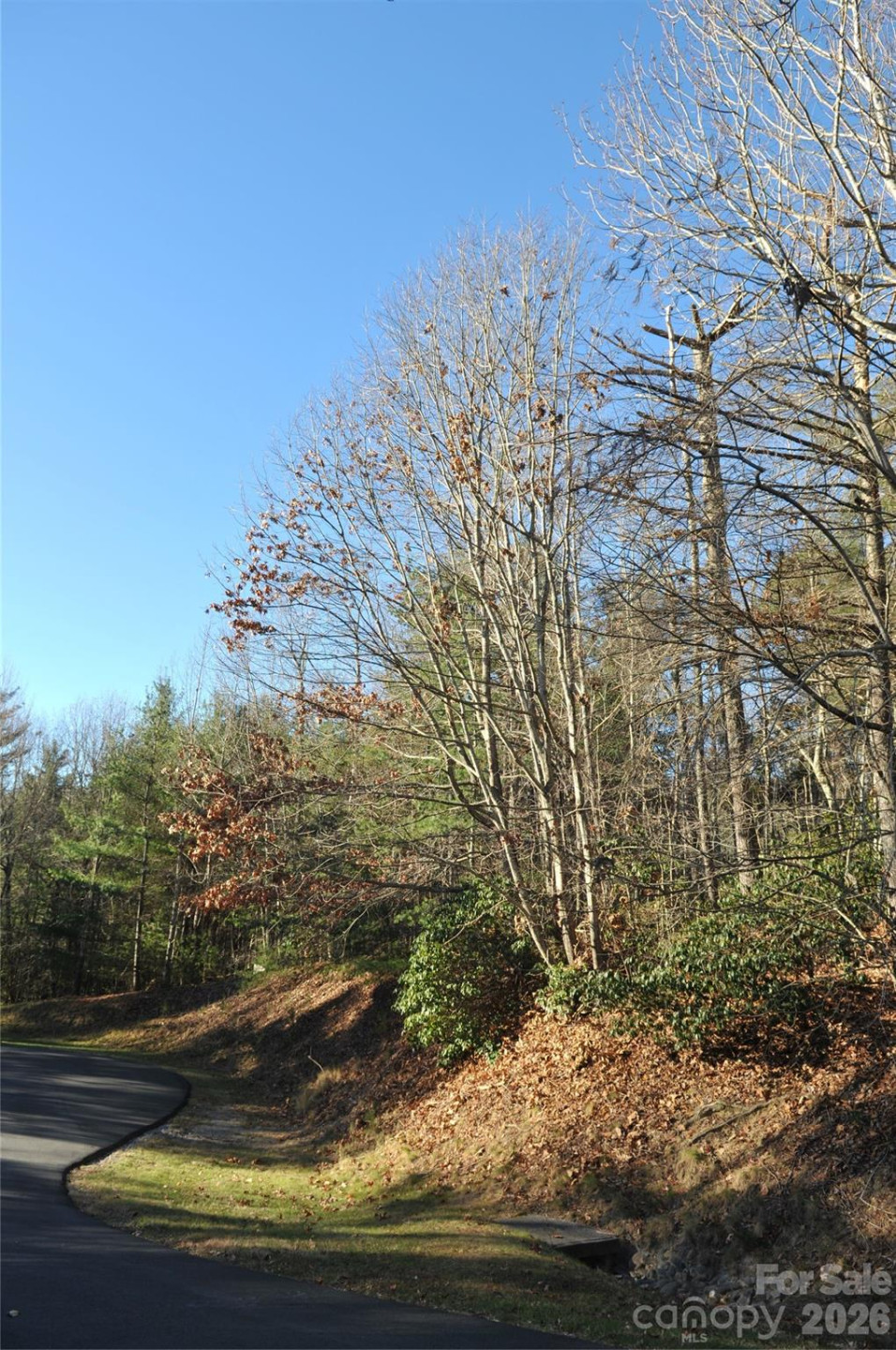 000 Didrikson Way #244 - Photo 14