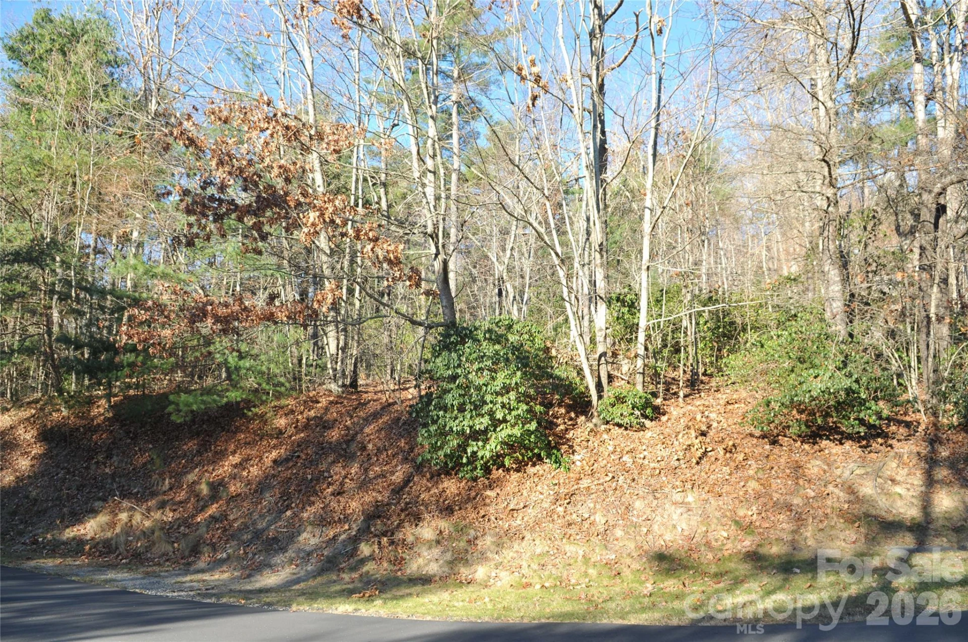 000 Didrikson Way #244 - Photo 3