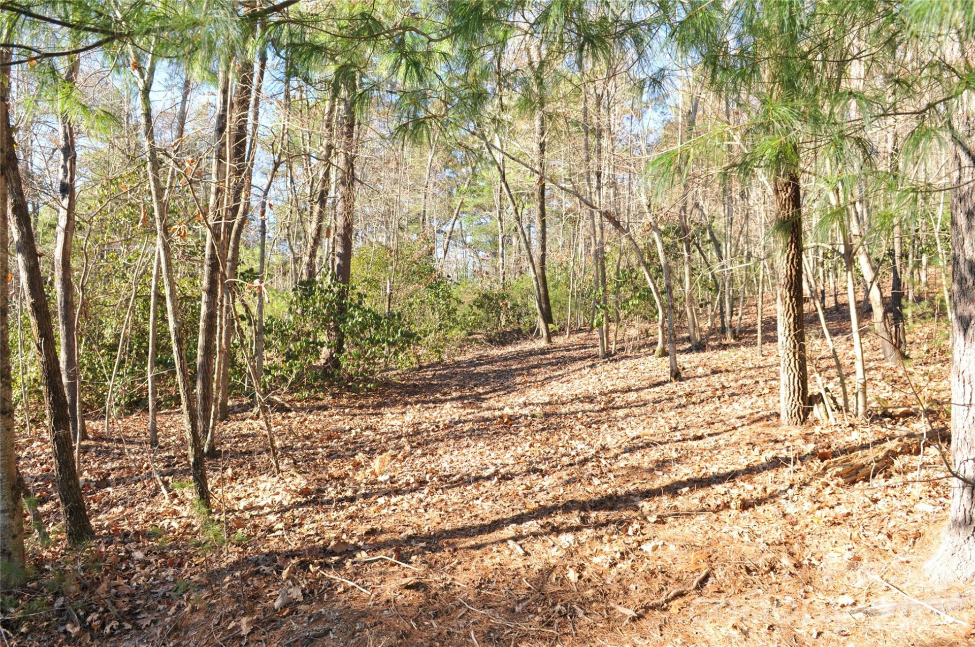 000 Didrikson Way #244 - Photo 4