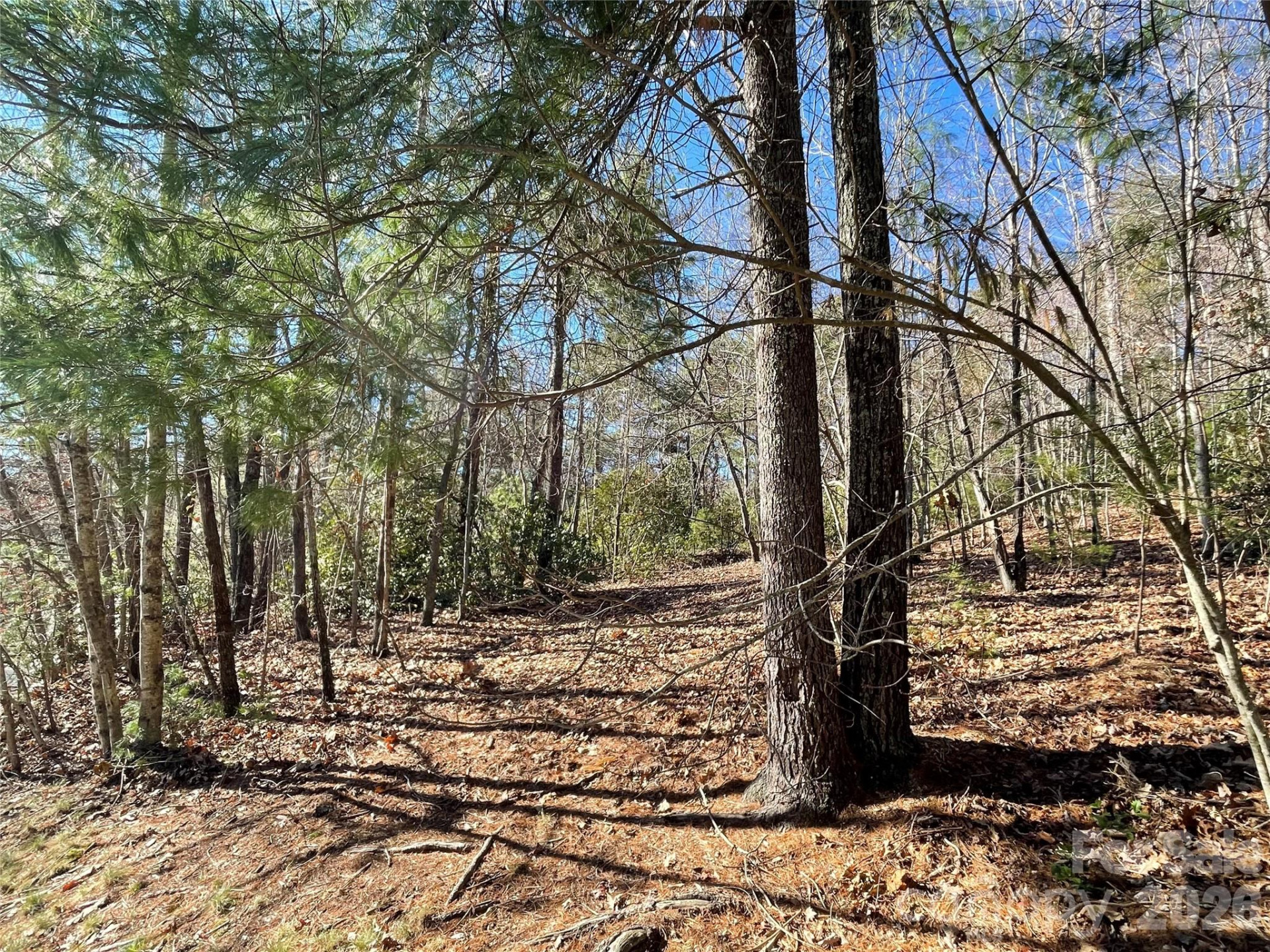 000 Didrikson Way #244 - Photo 5