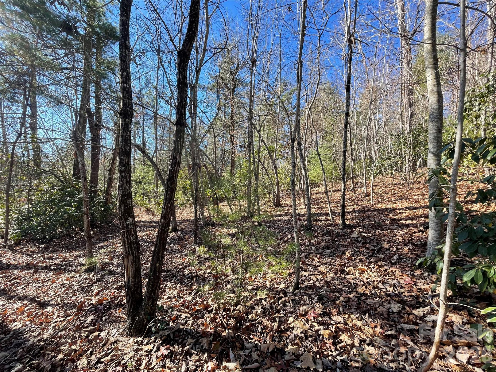 000 Didrikson Way #244 - Photo 6