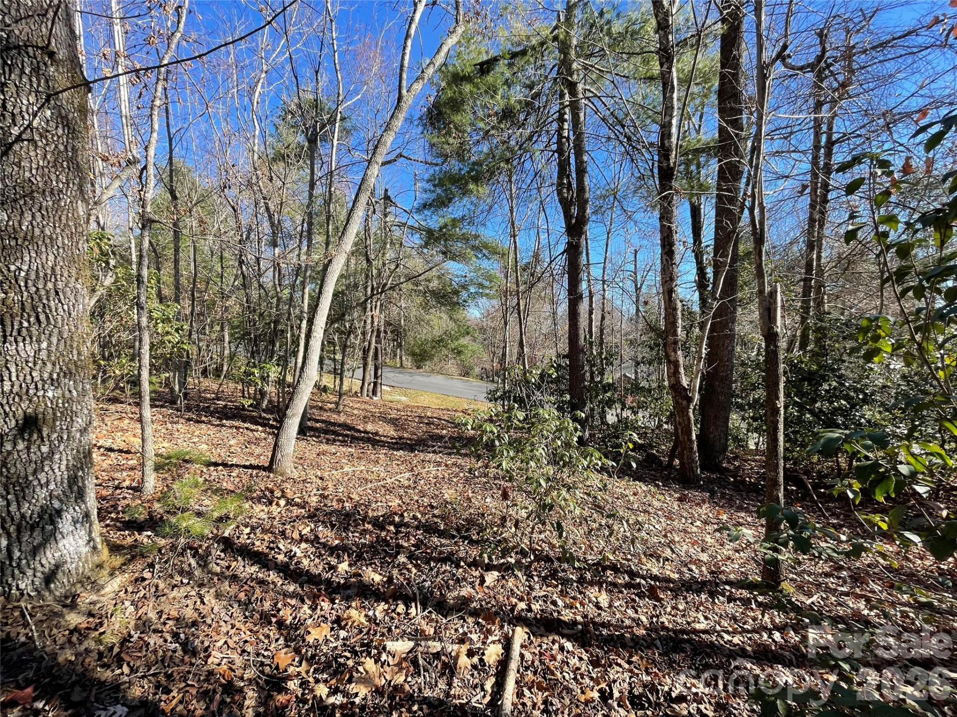 000 Didrikson Way #244 - Photo 7