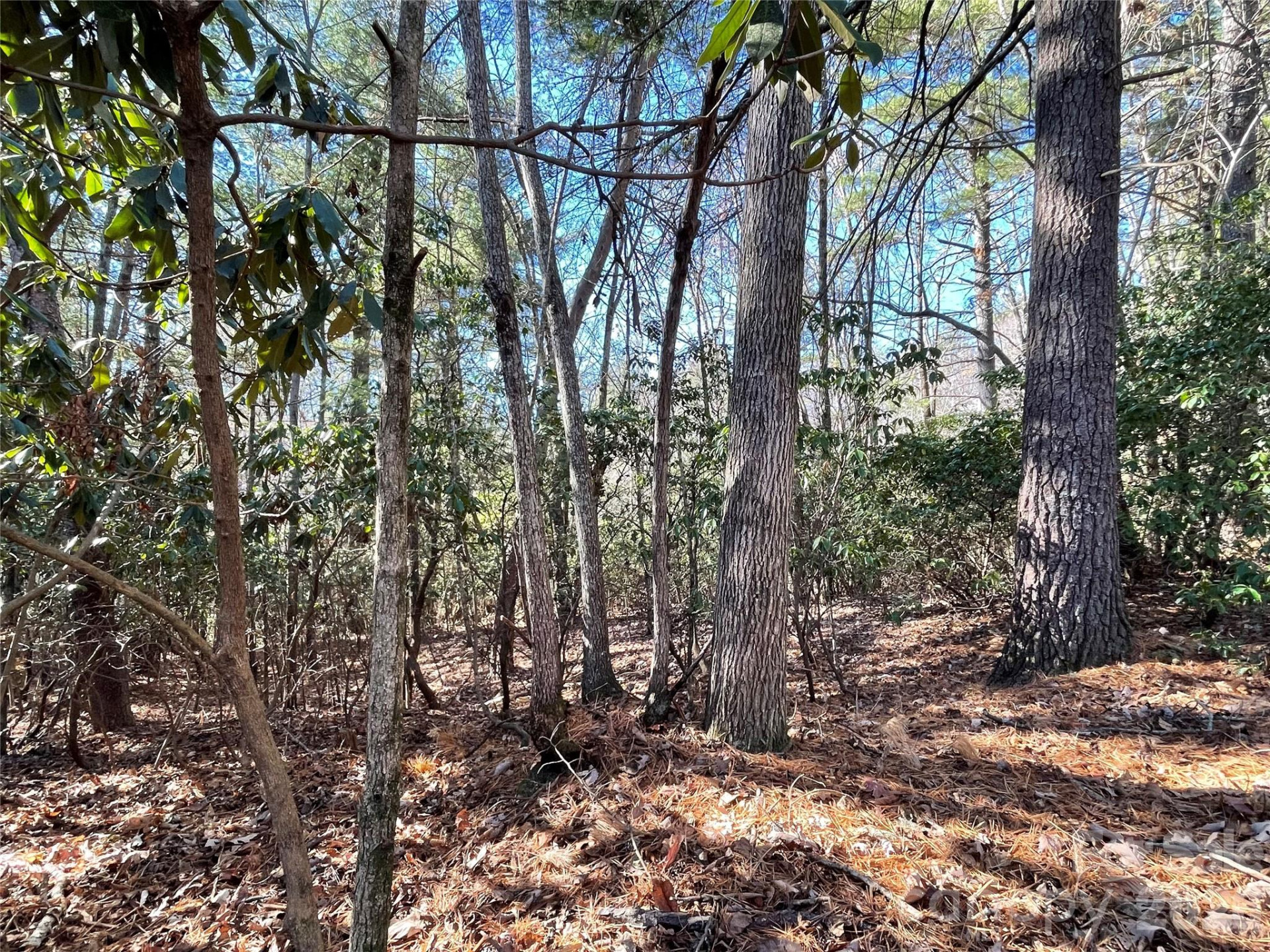 000 Didrikson Way #244 - Photo 8