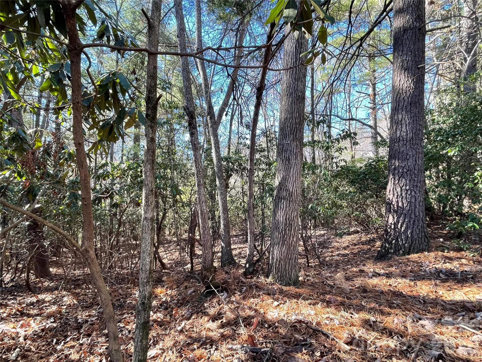 000 Didrikson Way #244 - Photo 8