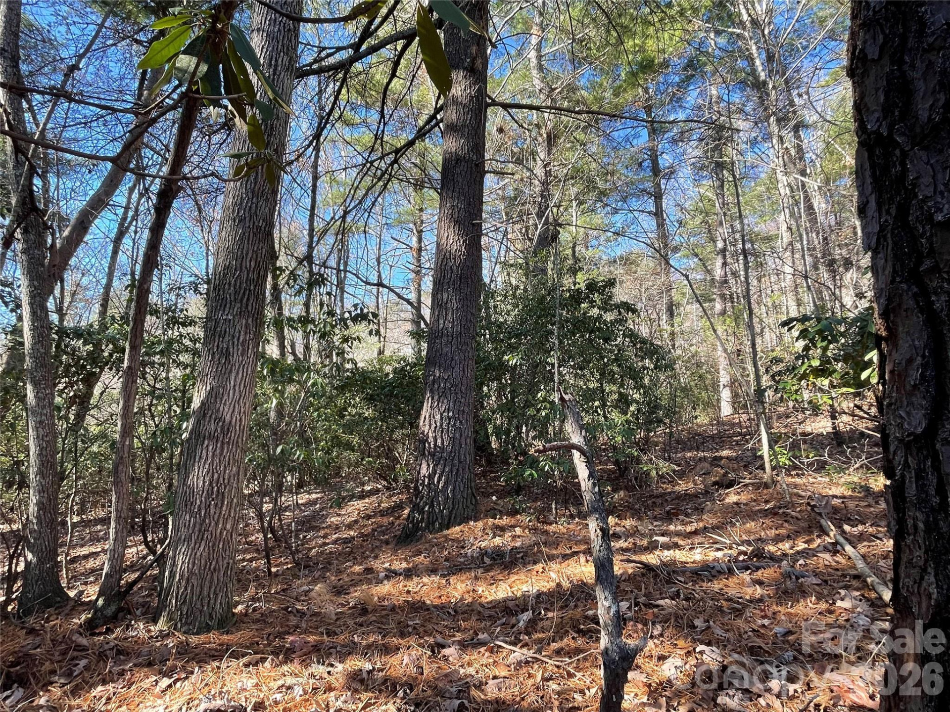 000 Didrikson Way #244 - Photo 9