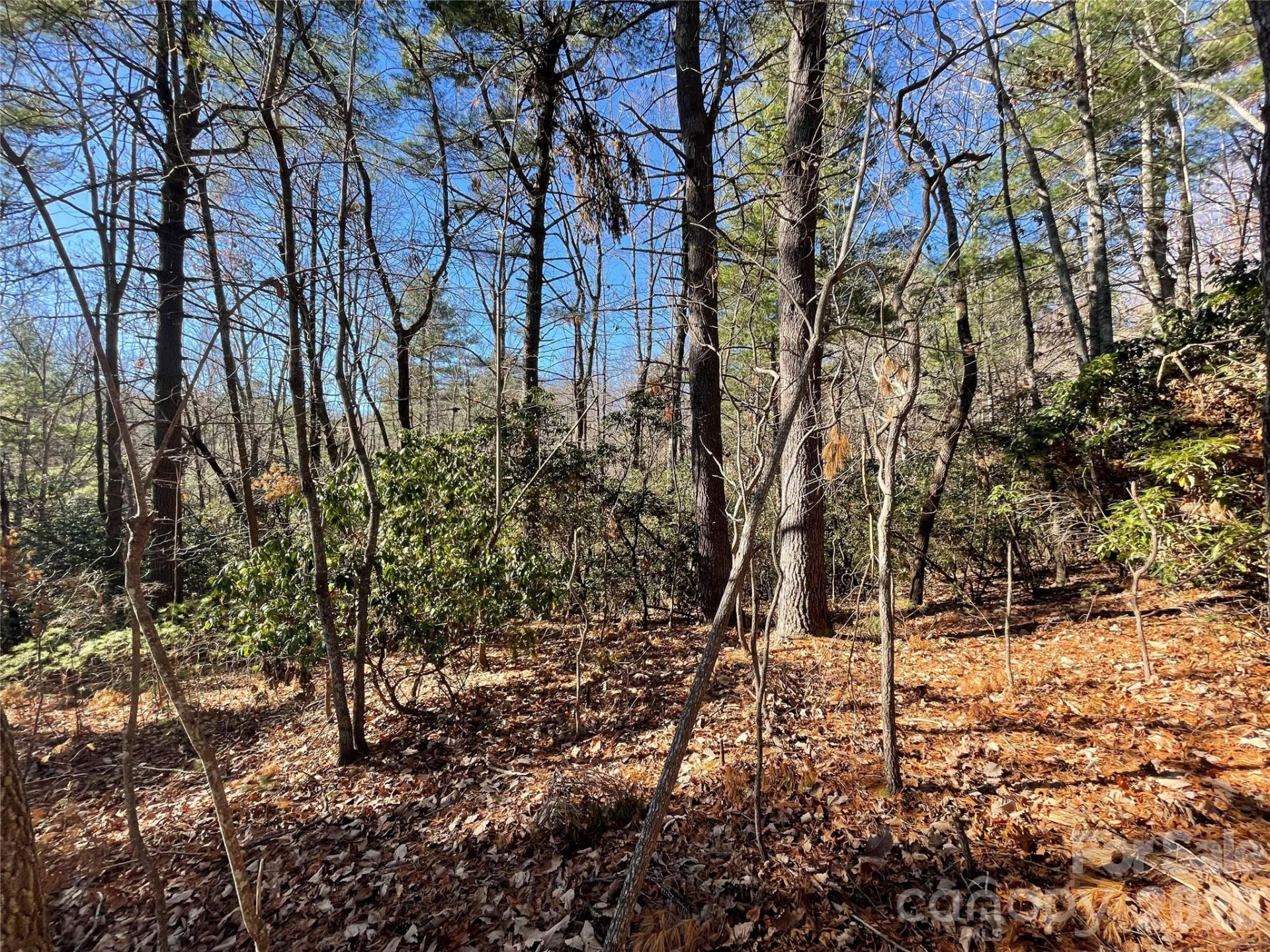 000 Didrikson Way #244 - Photo 10