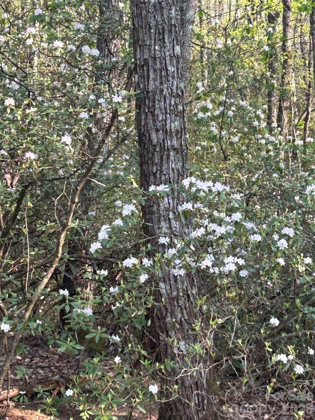 1413 Golf Course Road #24A - Photo 47