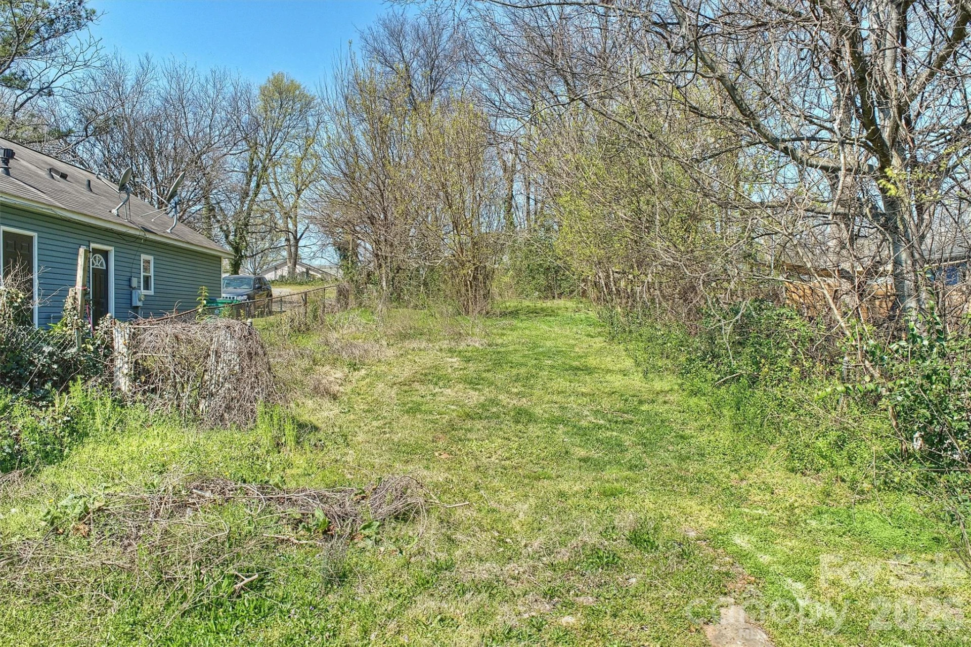 1409 Davidson Street - Photo 4