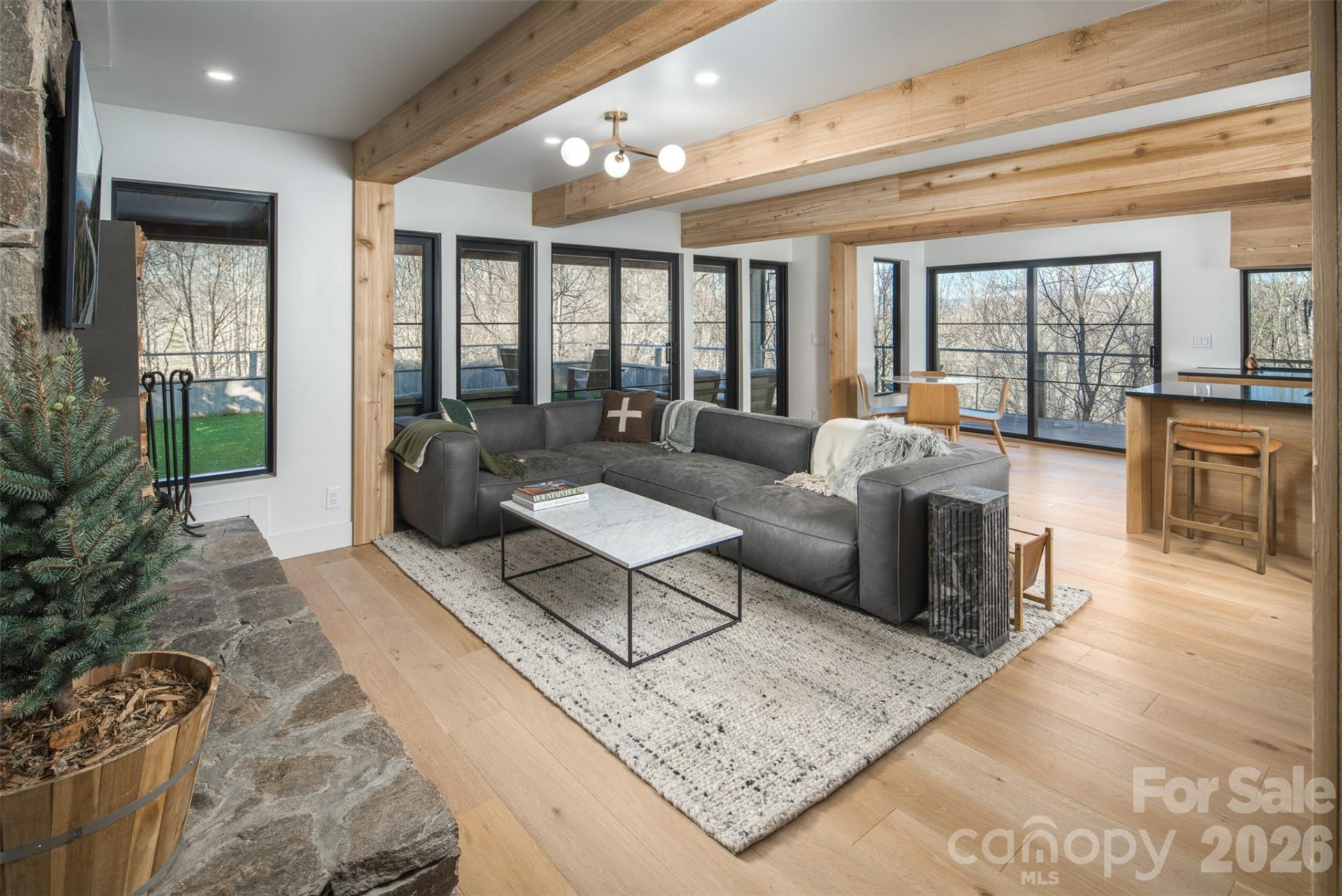 206 Tsisdvna Lane #57/26 - Photo 4