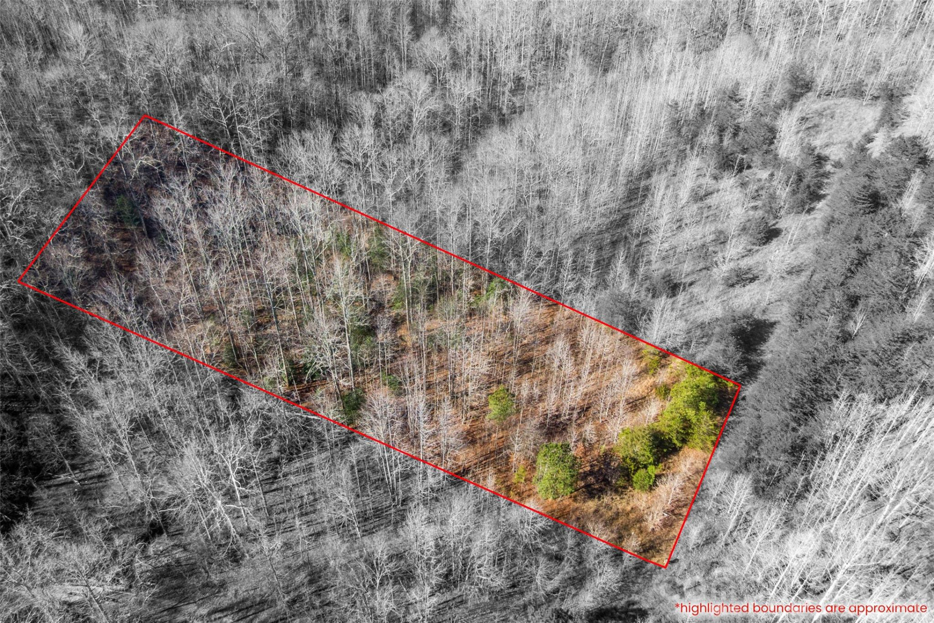 0 Pasture Drive #36 - Photo 4