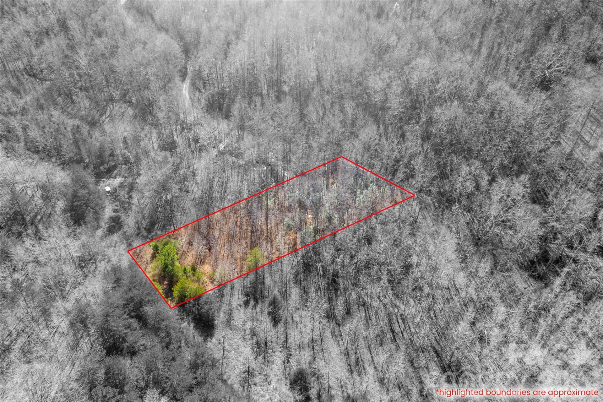 0 Pasture Drive #36 - Photo 5