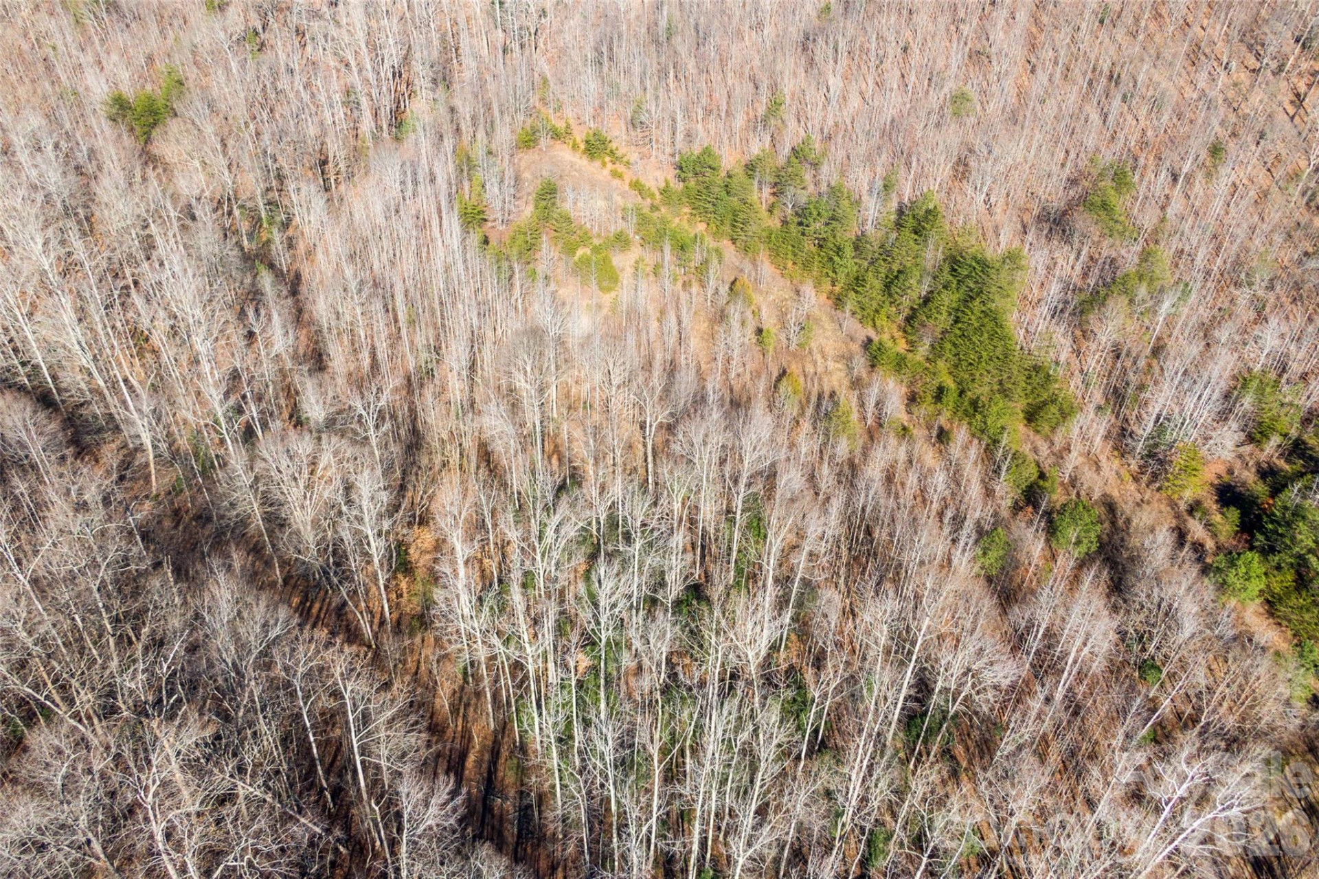 0 Pasture Drive #36 - Photo 6