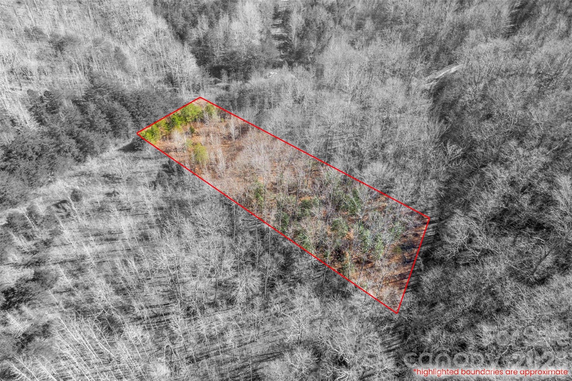 0 Pasture Drive #36 - Photo 7