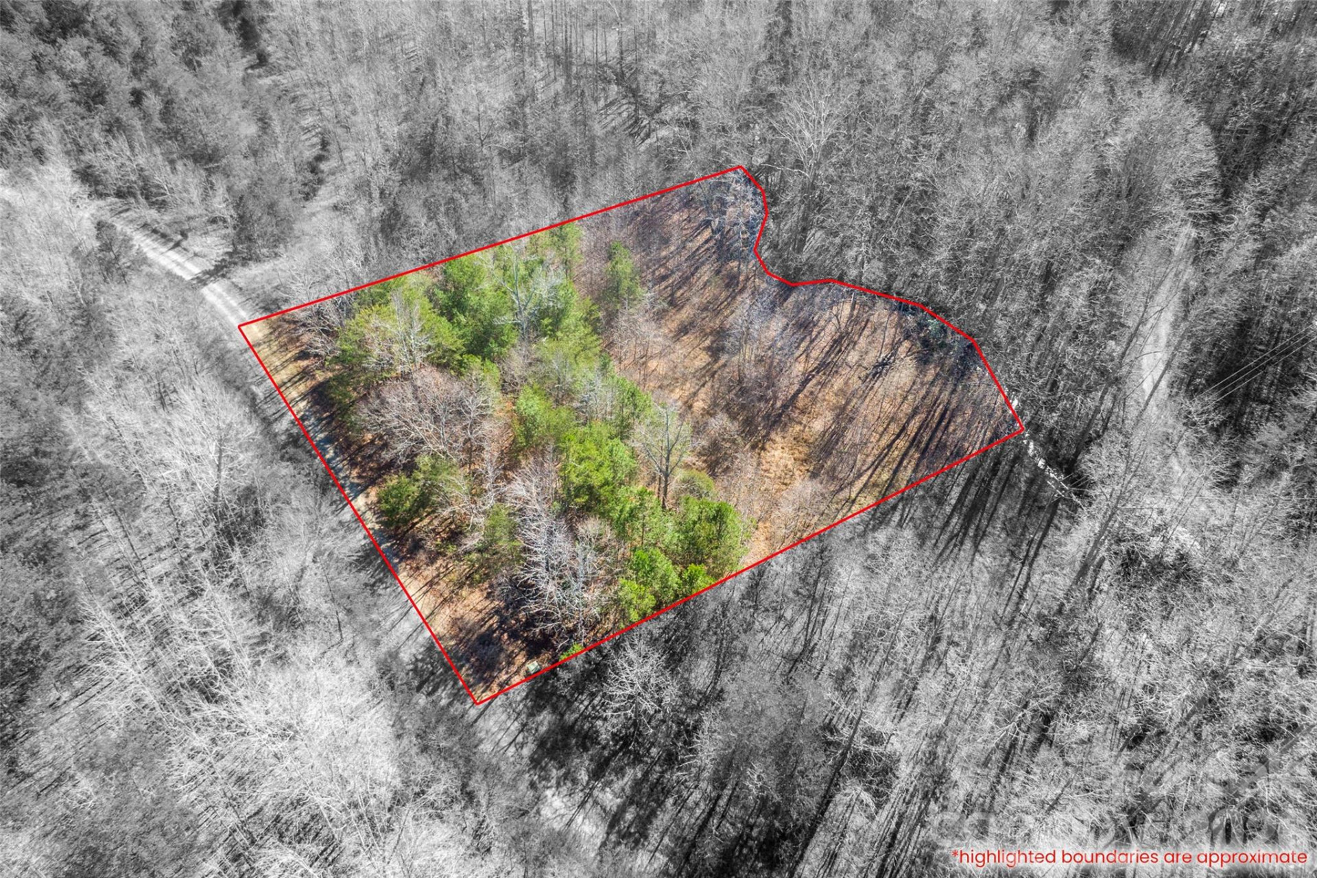 0 Riding Ring Drive #10 - Photo 3