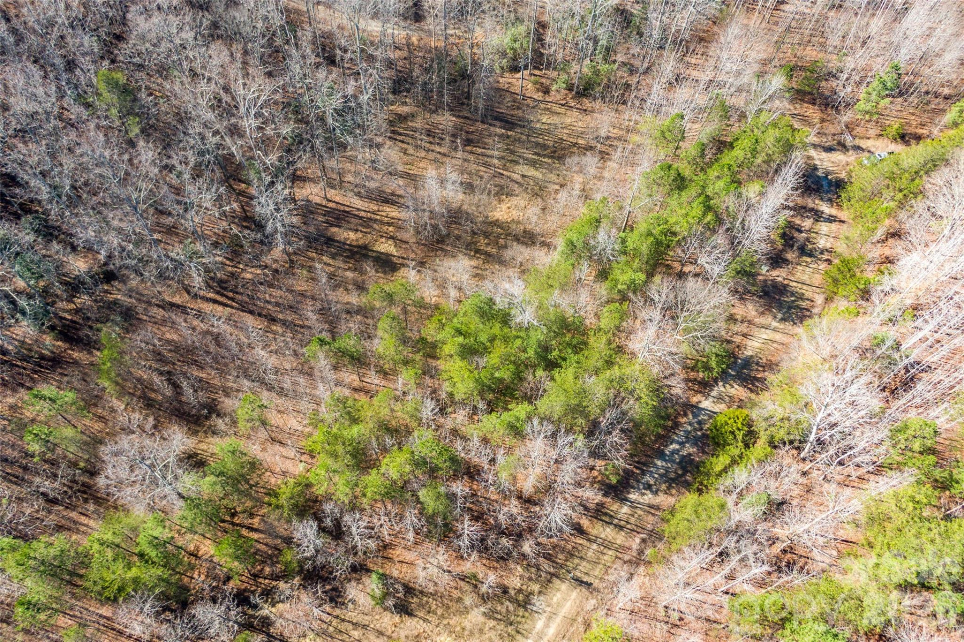 0 Riding Ring Drive #10 - Photo 5