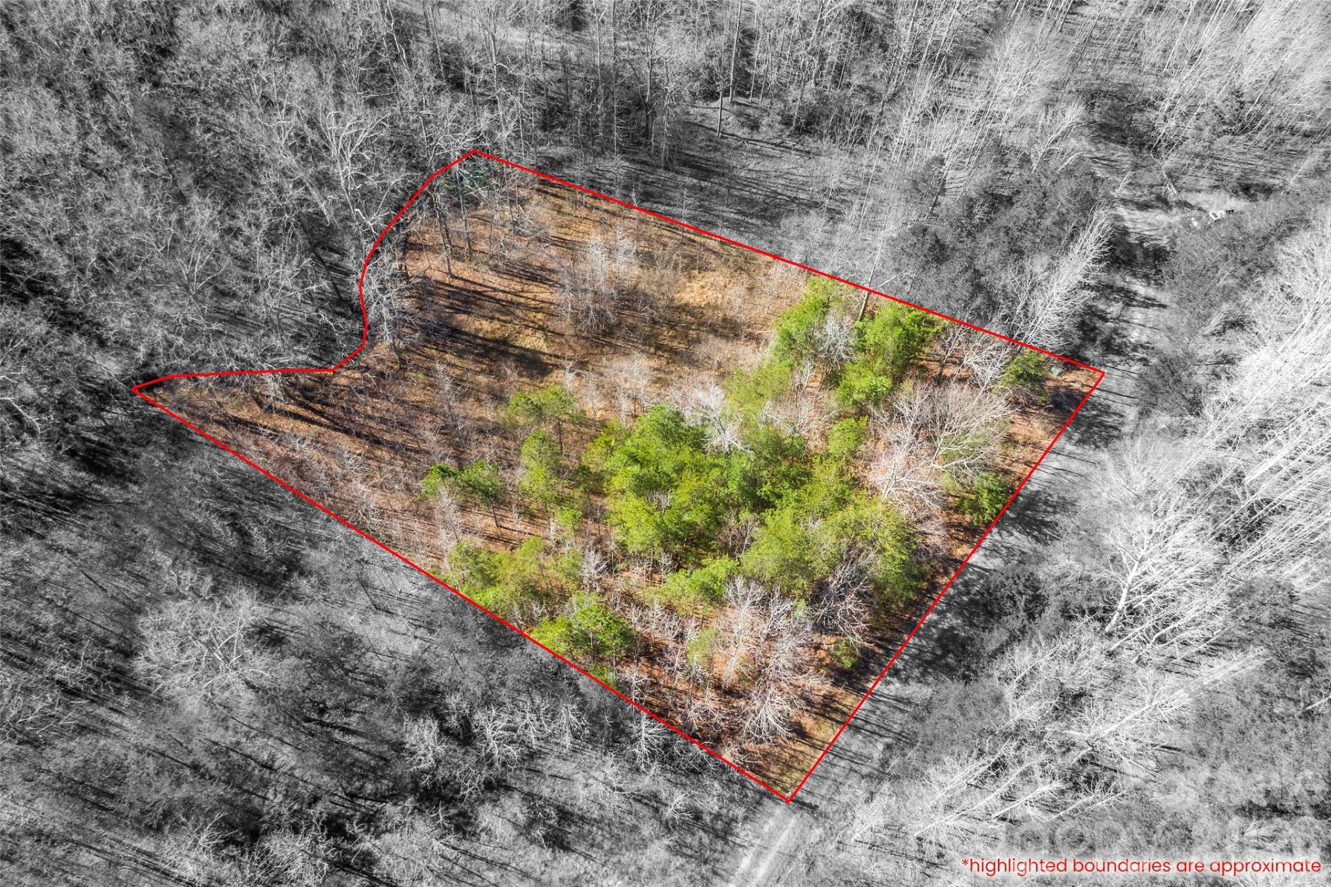 0 Riding Ring Drive #10 - Photo 6