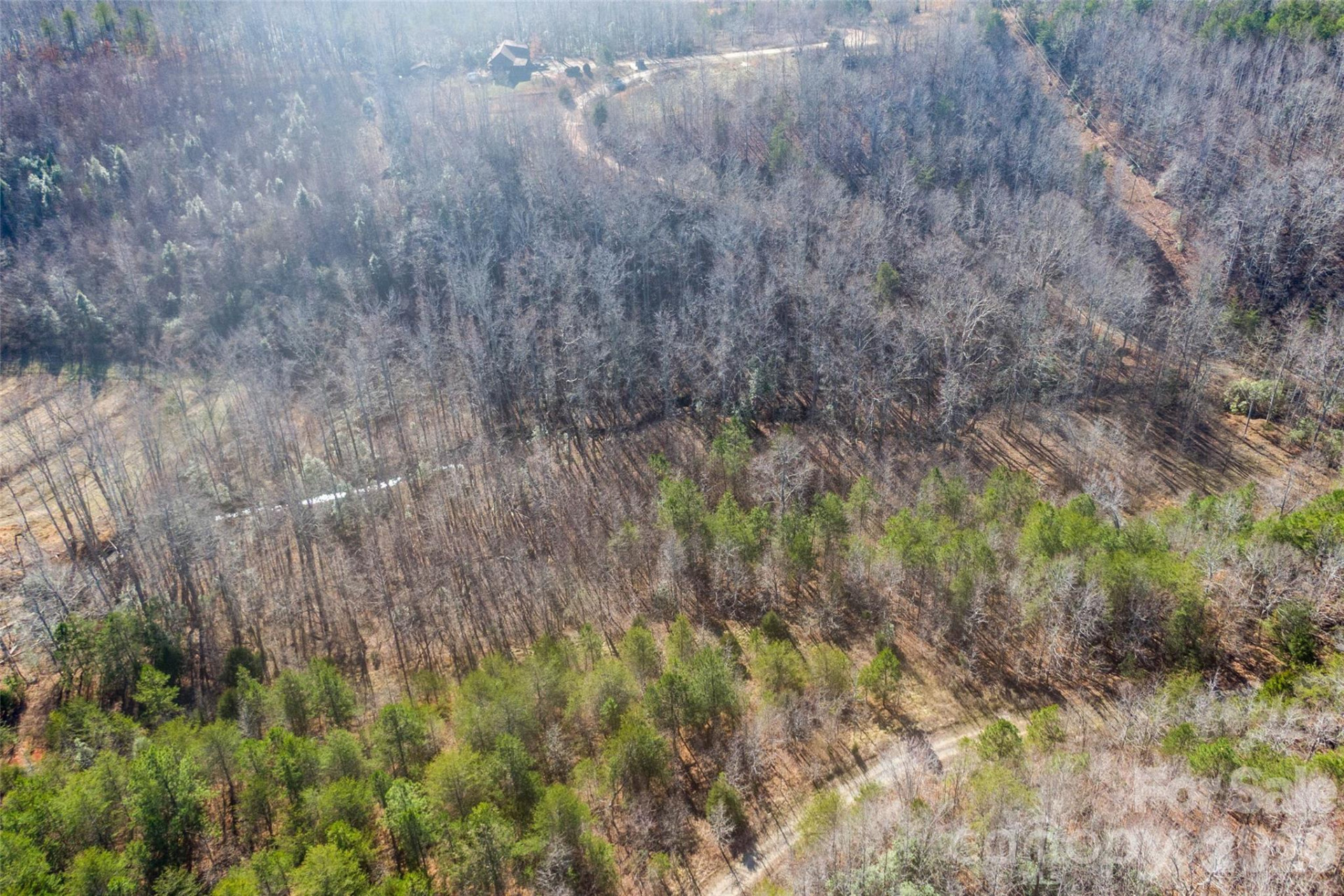 0 Riding Ring Drive #11 - Photo 3