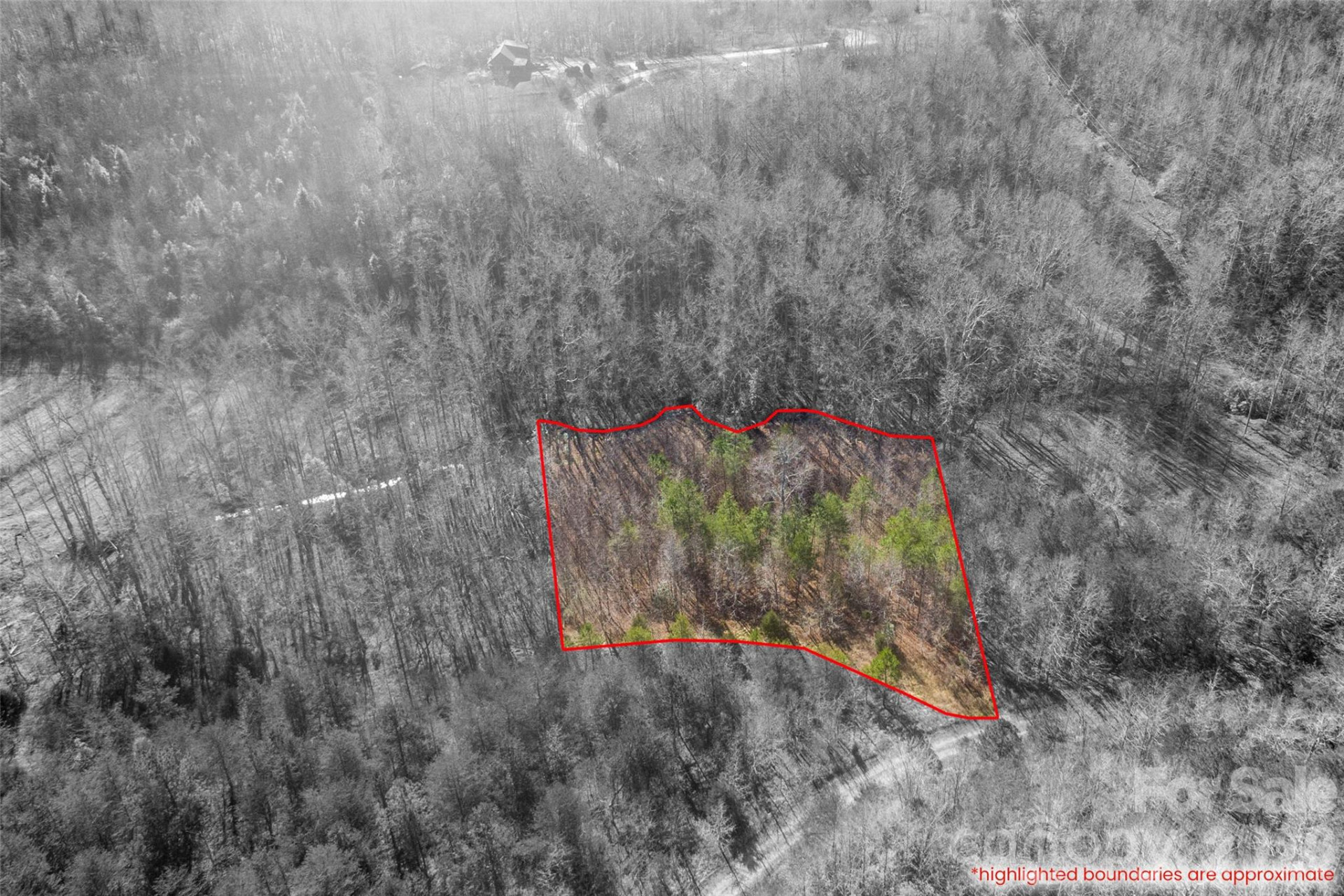 0 Riding Ring Drive #11 - Photo 4