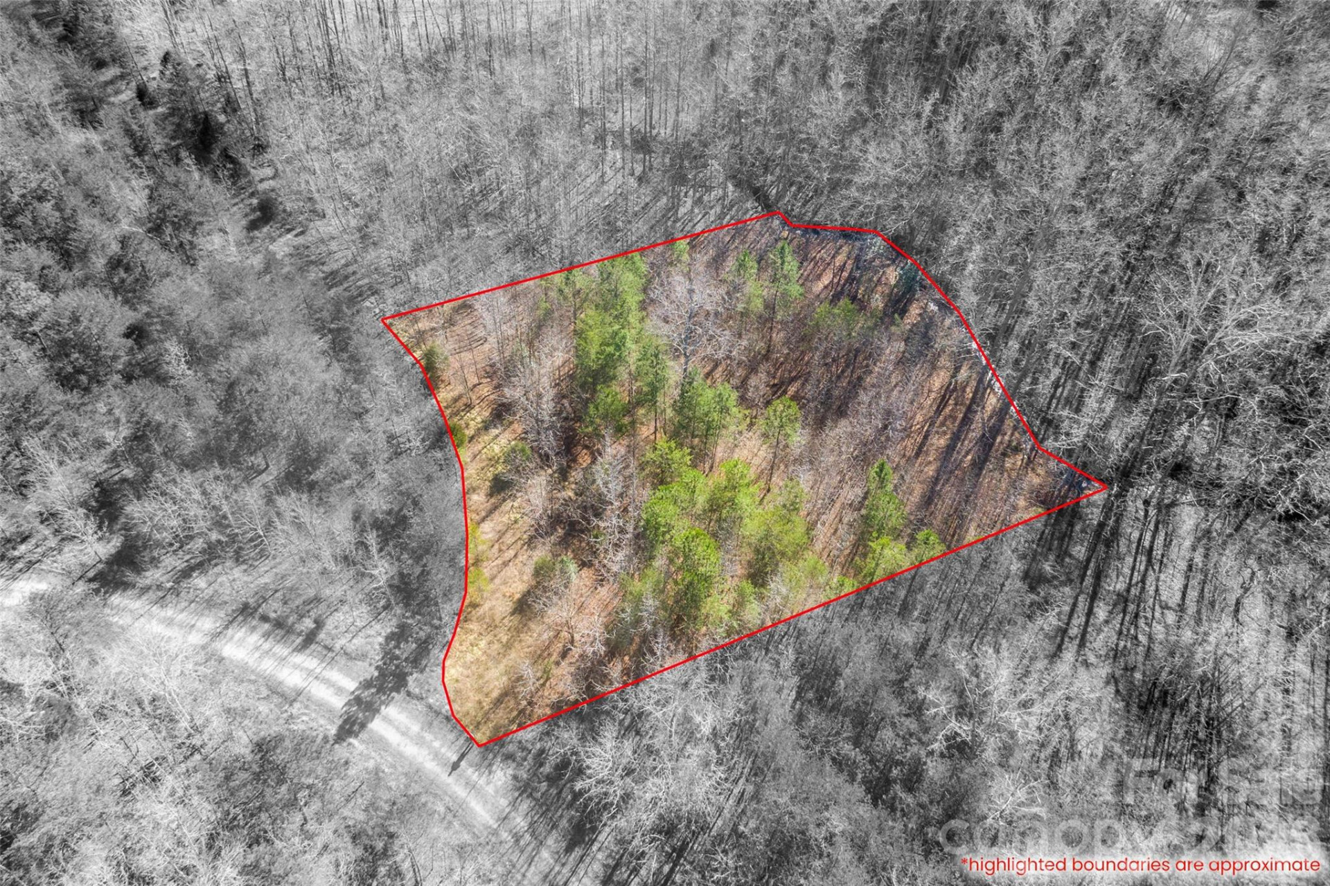 0 Riding Ring Drive #11 - Photo 6