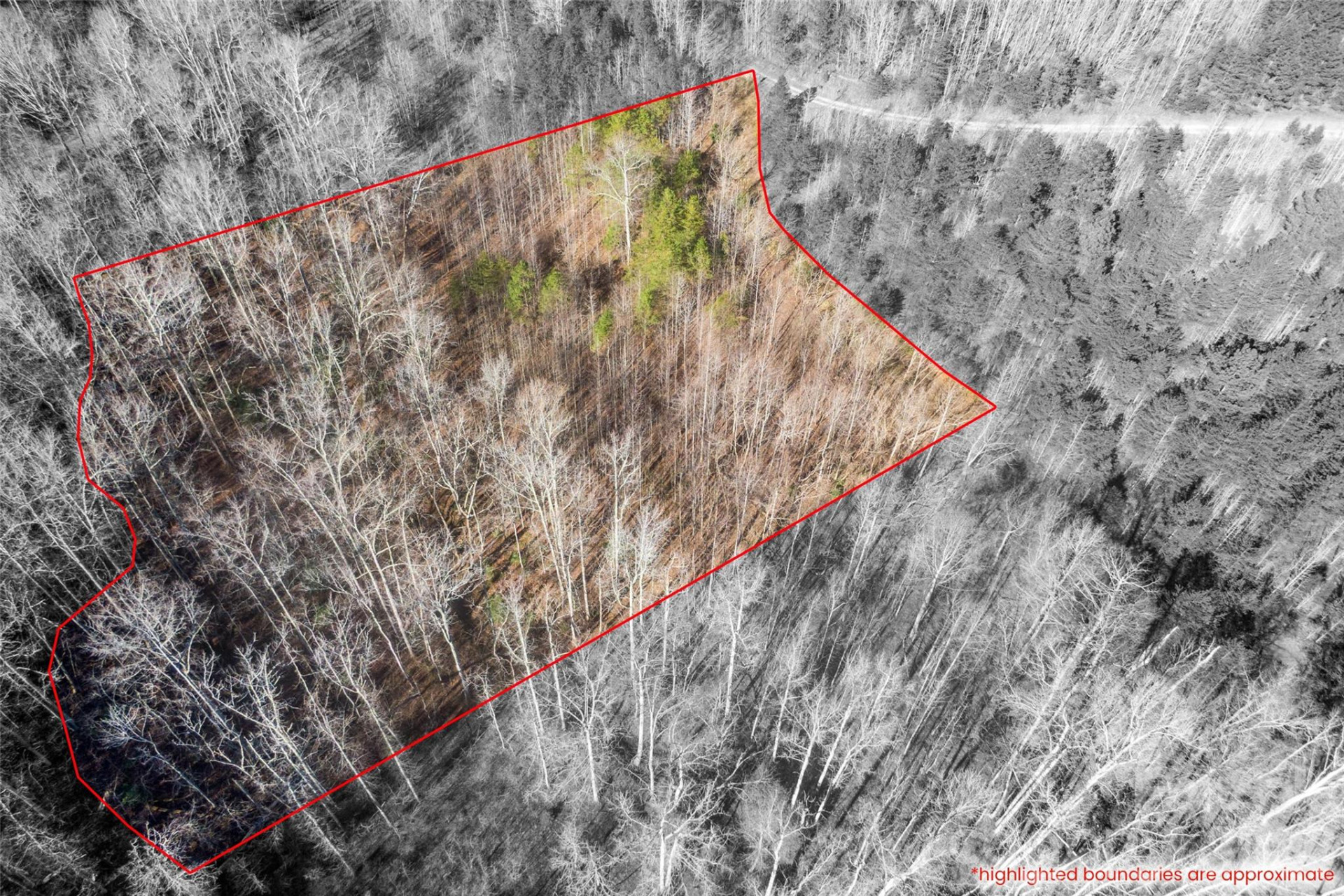 0 Riding Ring Drive #11 - Photo 7