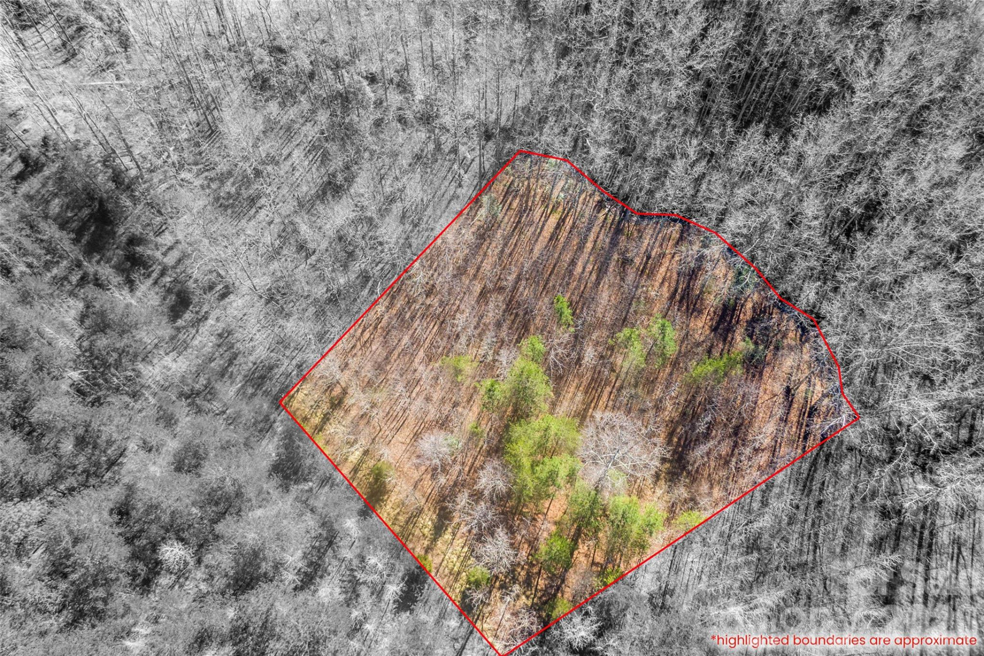 0 Riding Ring Drive #12 - Photo 4