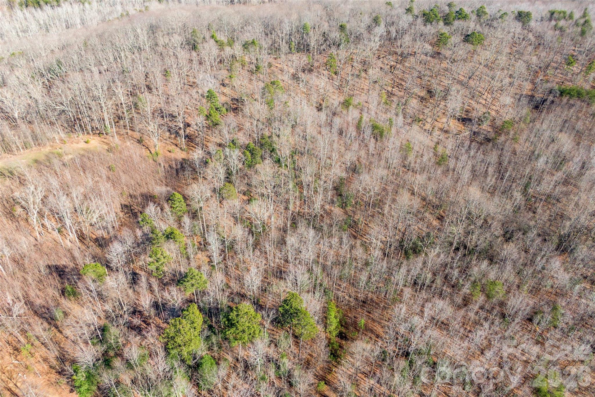 0 Ashe Drive #27A - Photo 3