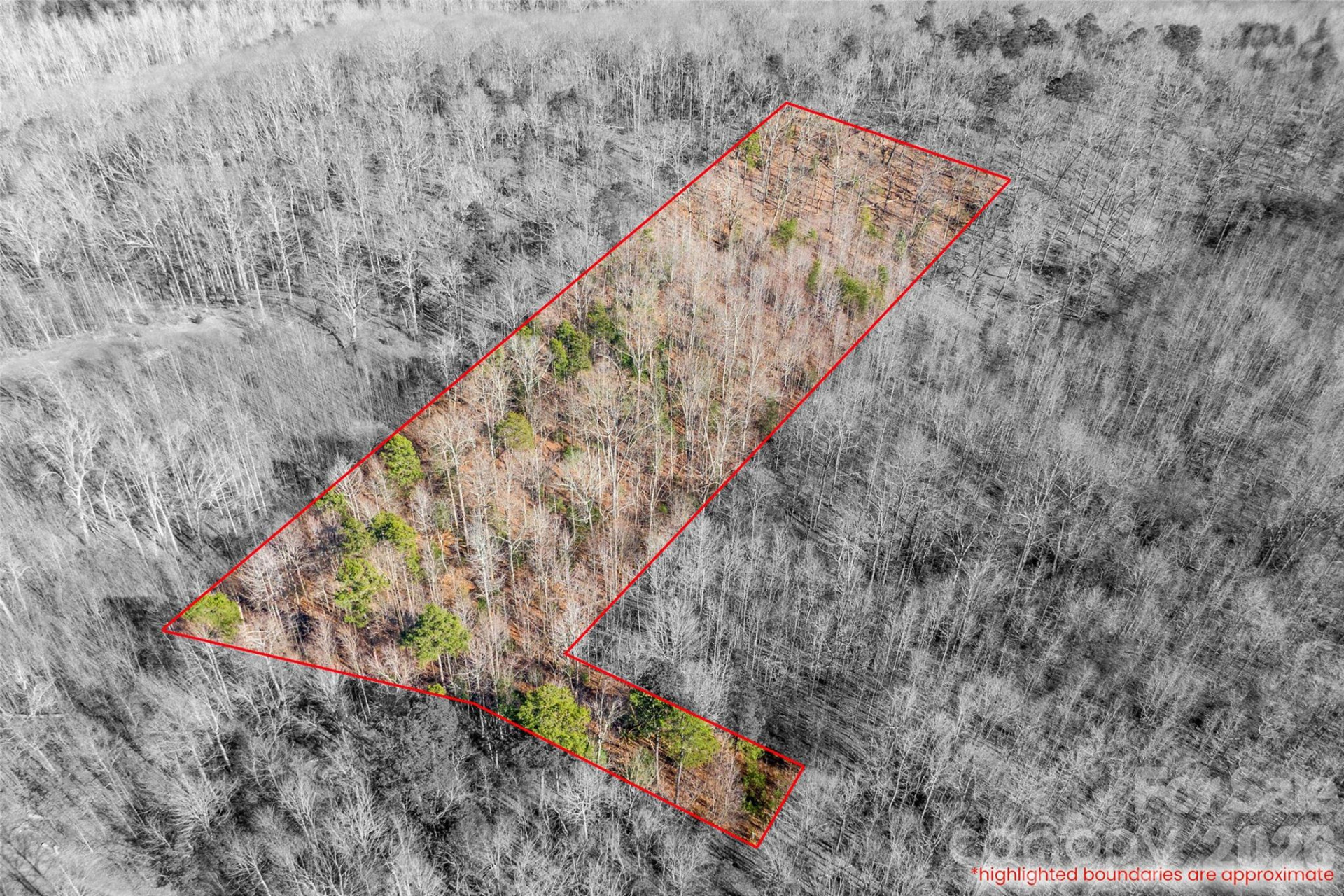 0 Ashe Drive #27A - Photo 4